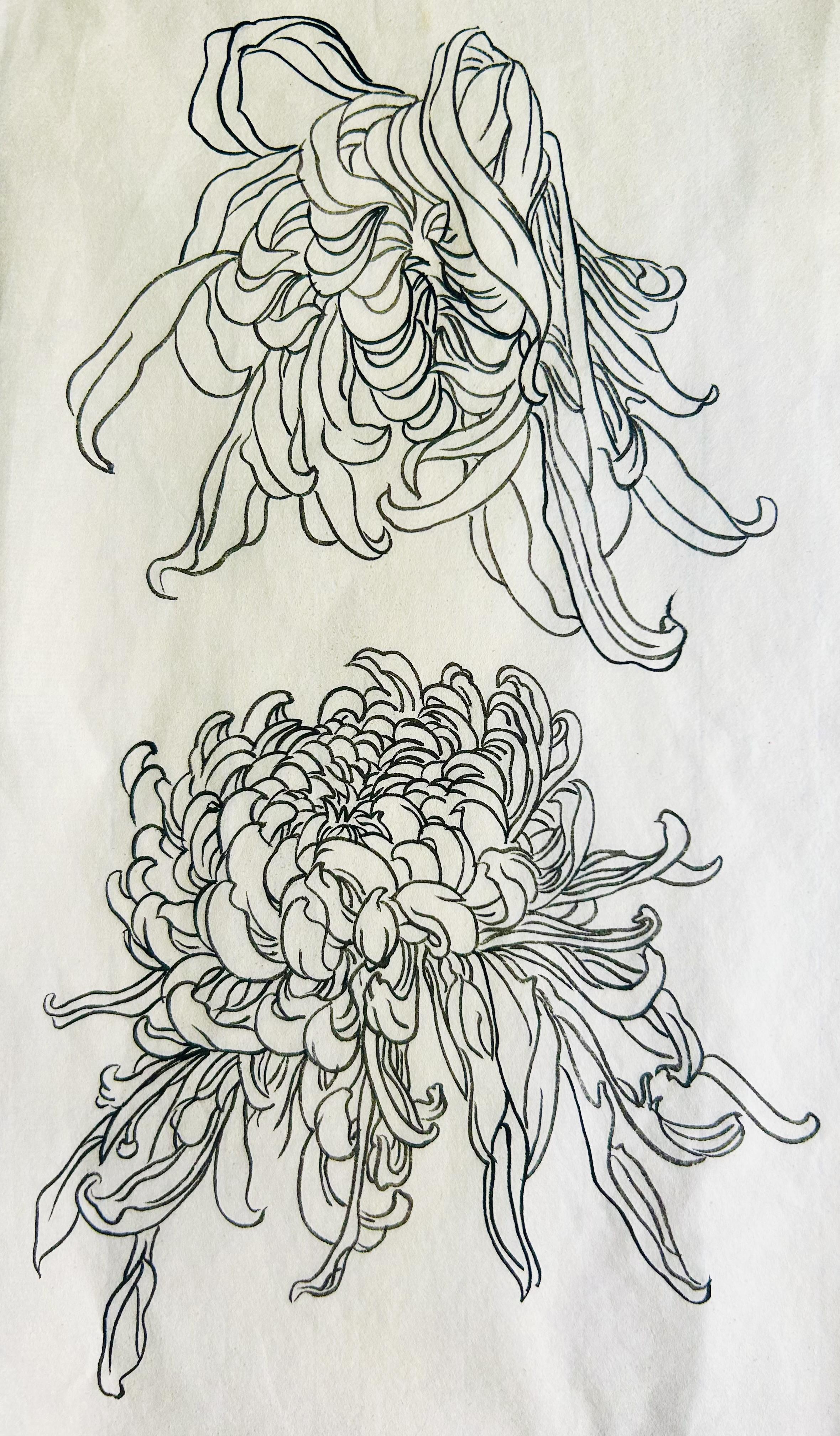 静观斋 的想法: 国画白描花鸟练习十六