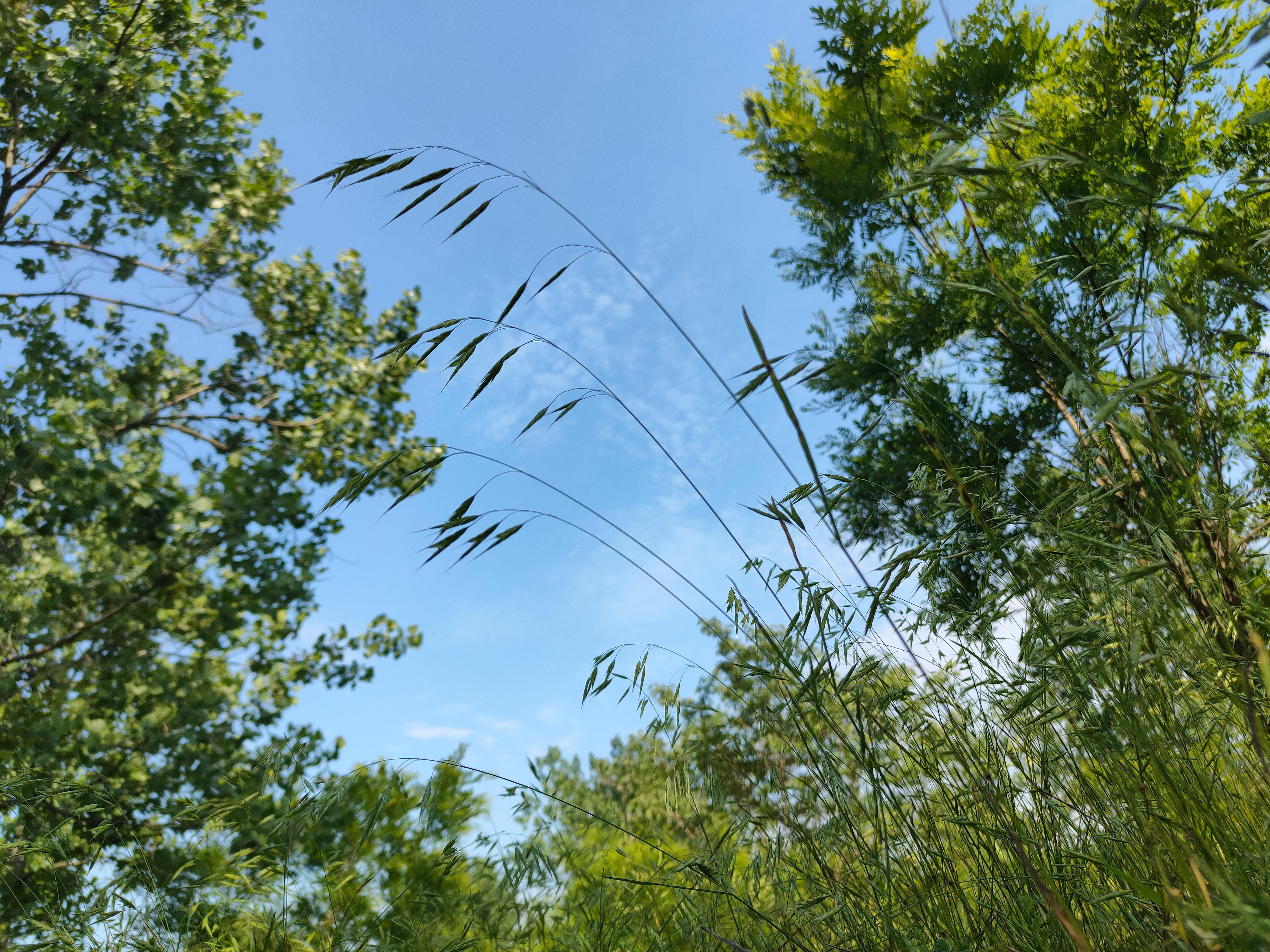 悦然了无痕 的想法: 治愈你的心境 | 这个五一没有去人山人海的地方