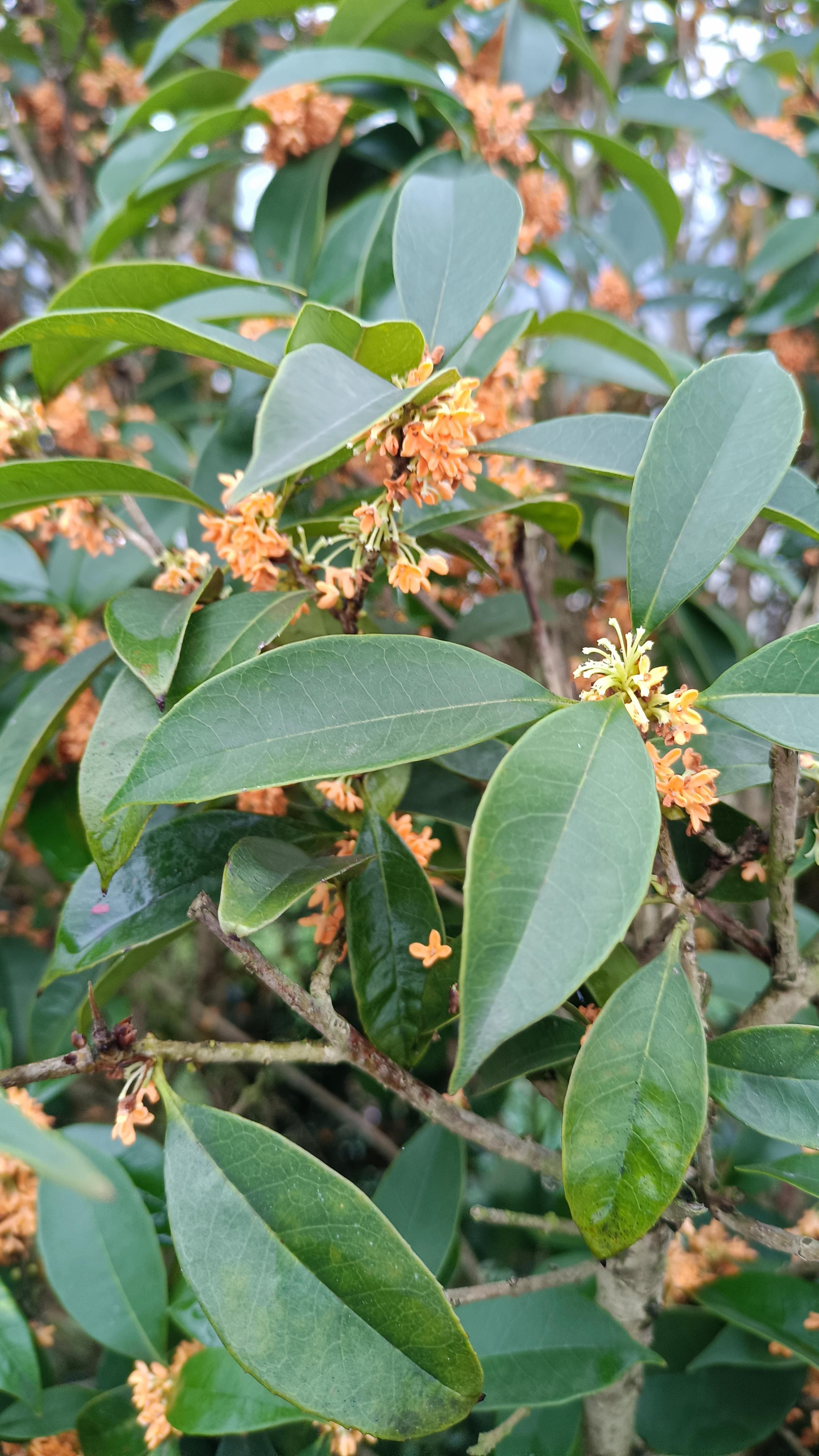 绿玉君 的想法: 我们是朋友 |  a class="hash_tag" href="https