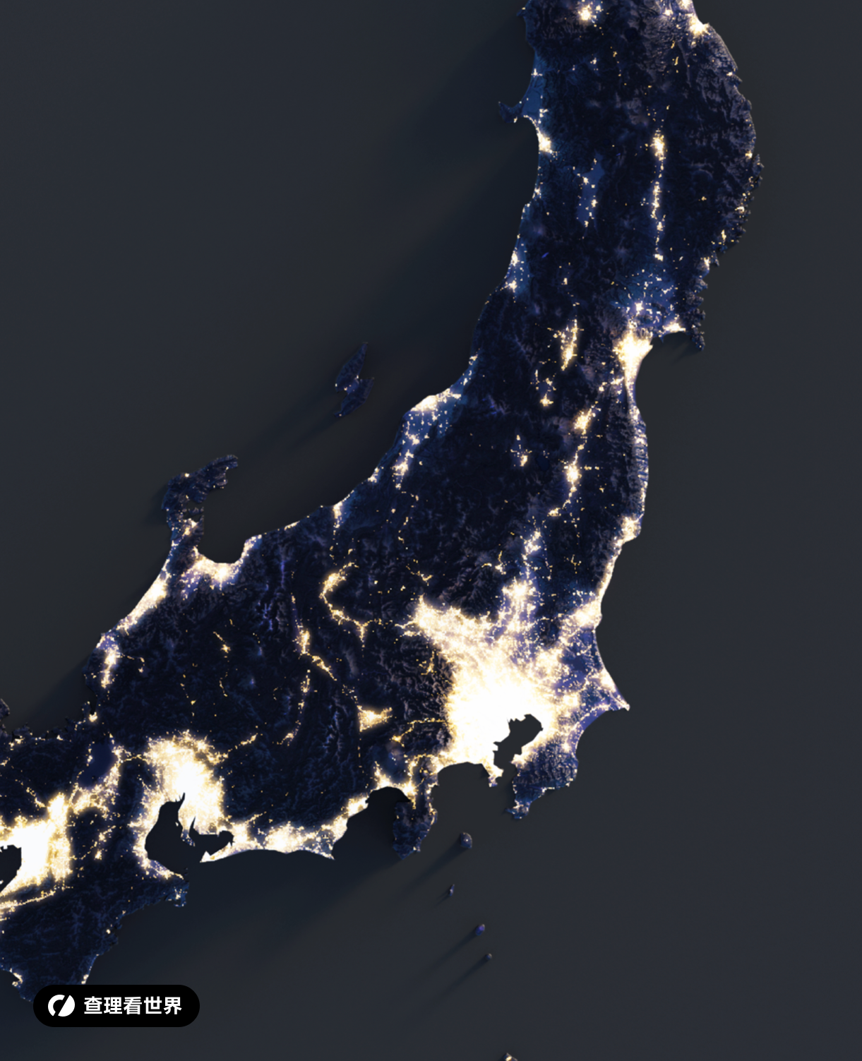 查理看世界 的想法 日本3d渲染地形地图夜景模式