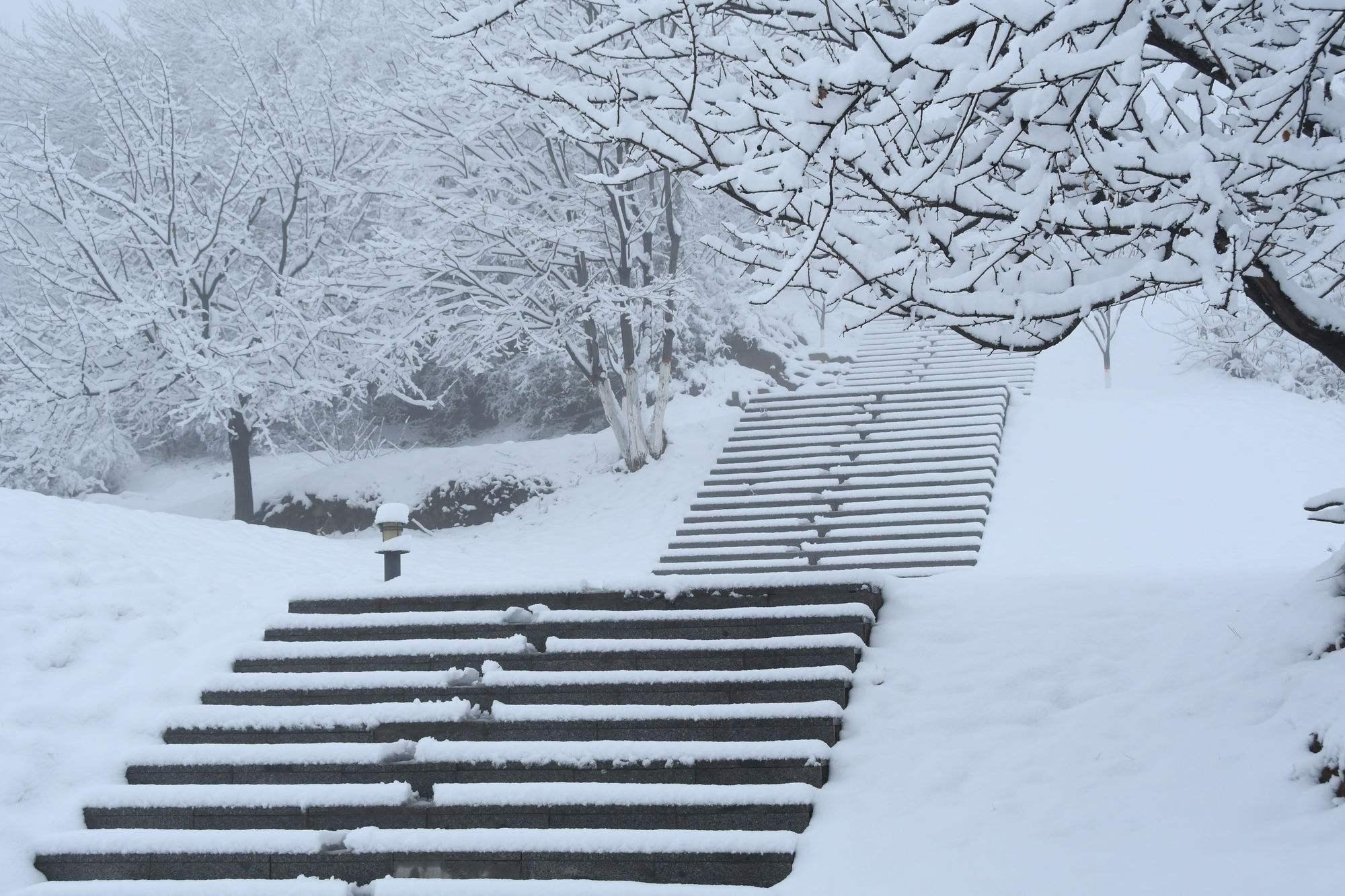 下雪气象图图片