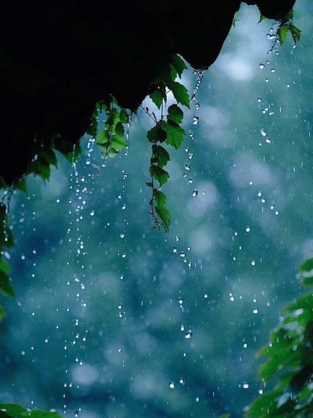 微风甜许 的想法: 雨天的风景