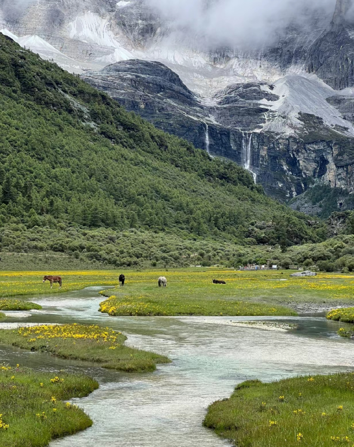 热爱且自由 的想法: 稻城
