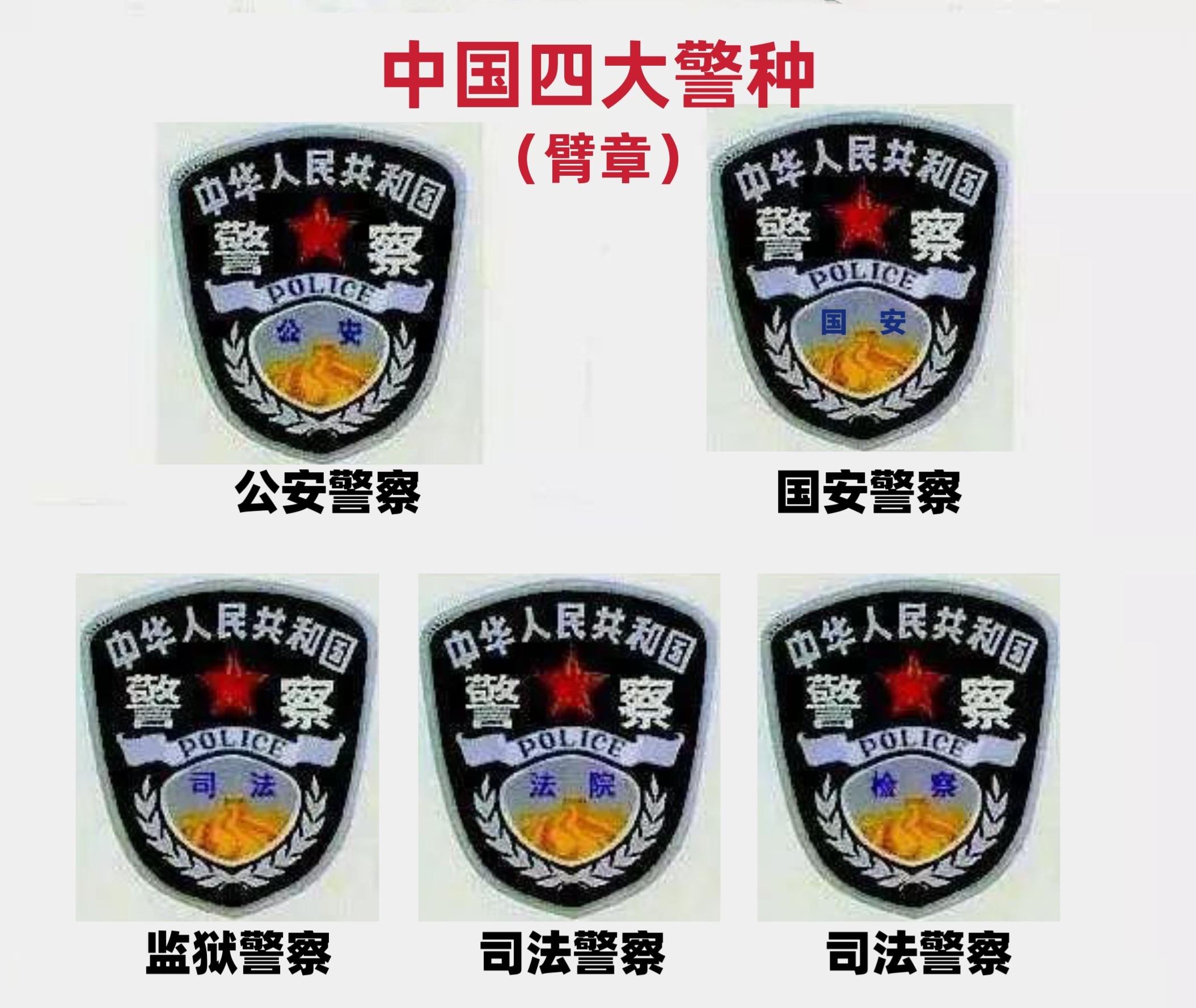 我们平时见到的警察多数归类于公安警察,例如铁路警,民航警刑警,交警