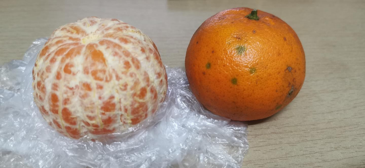 今日耙耙柑的价格