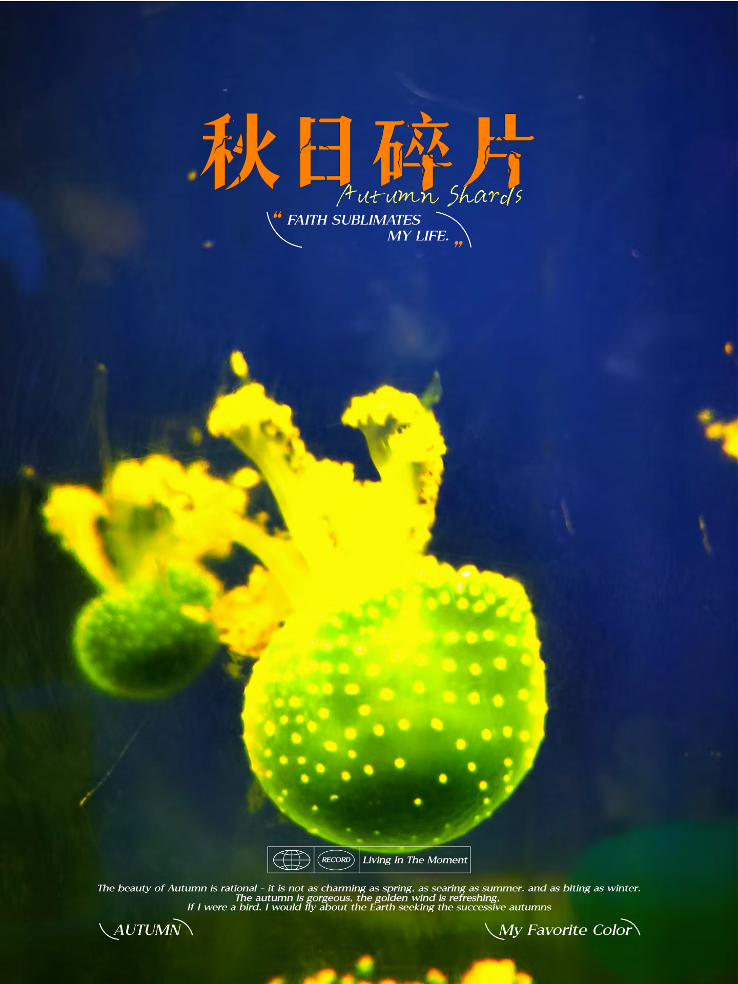 路有为 的想法: 五颜六色的水母狂欢! | 漫游海洋馆,被水母迷住.