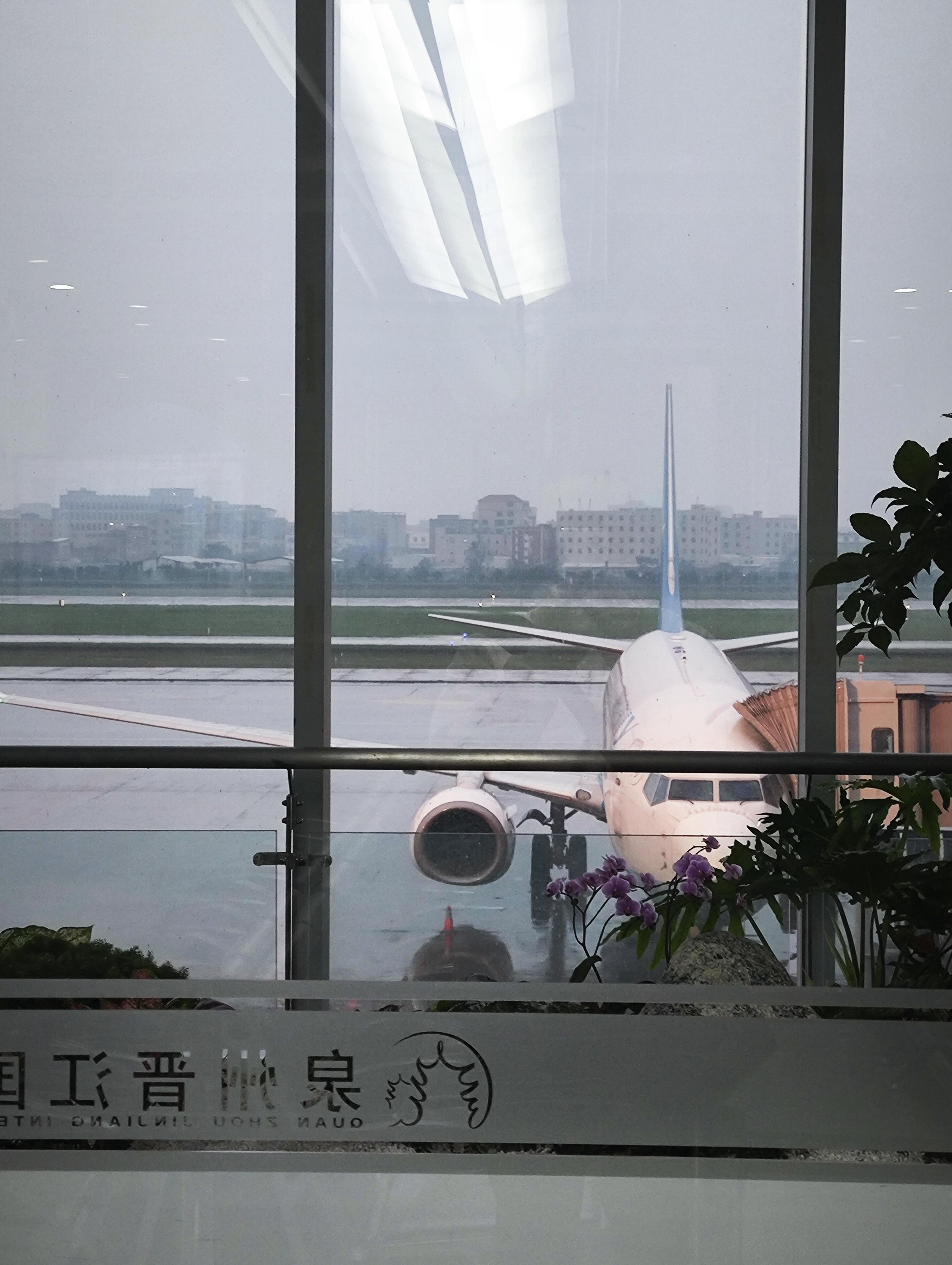 菲盈1015 的想法: 回泉州发现的不同