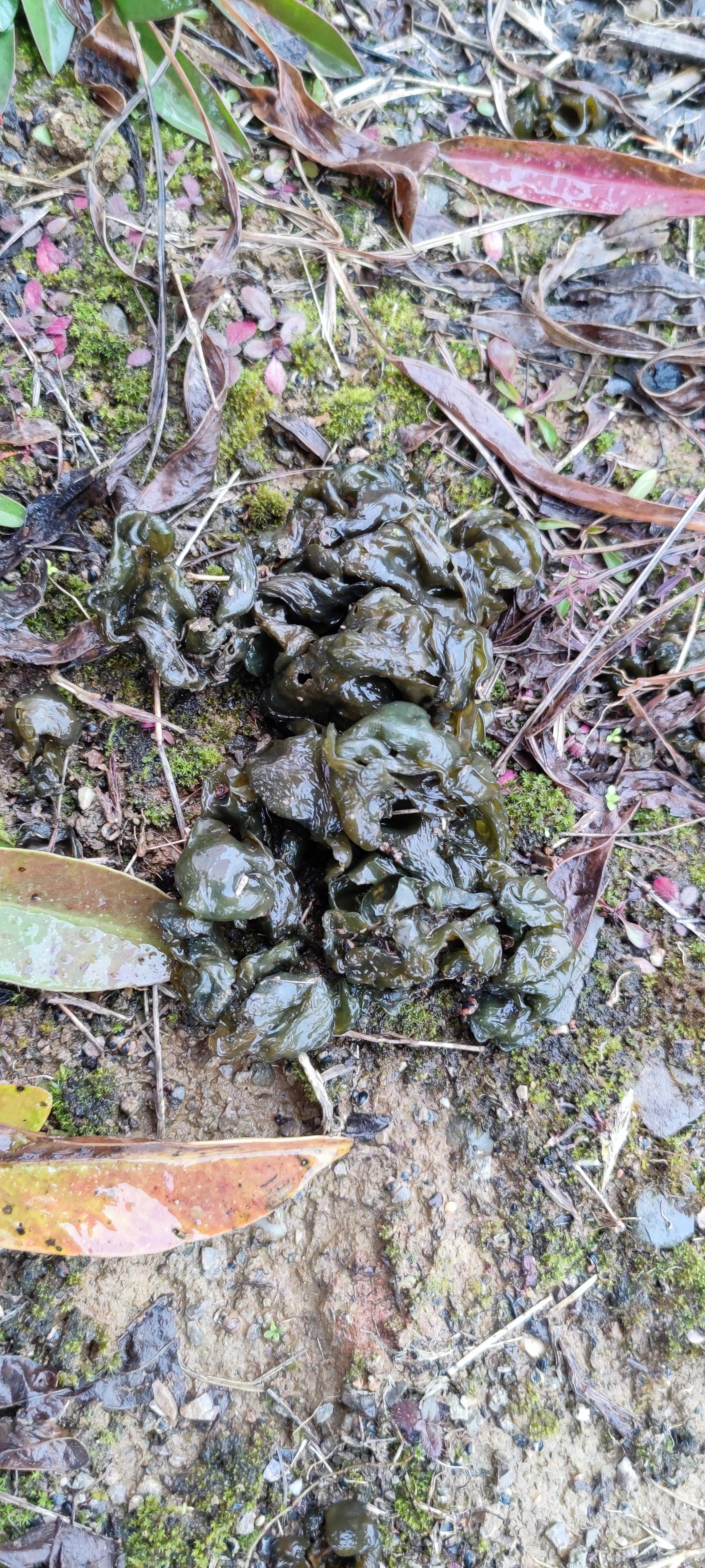 📸 拍摄装备:红米k30pro💡 拍摄技巧:无小