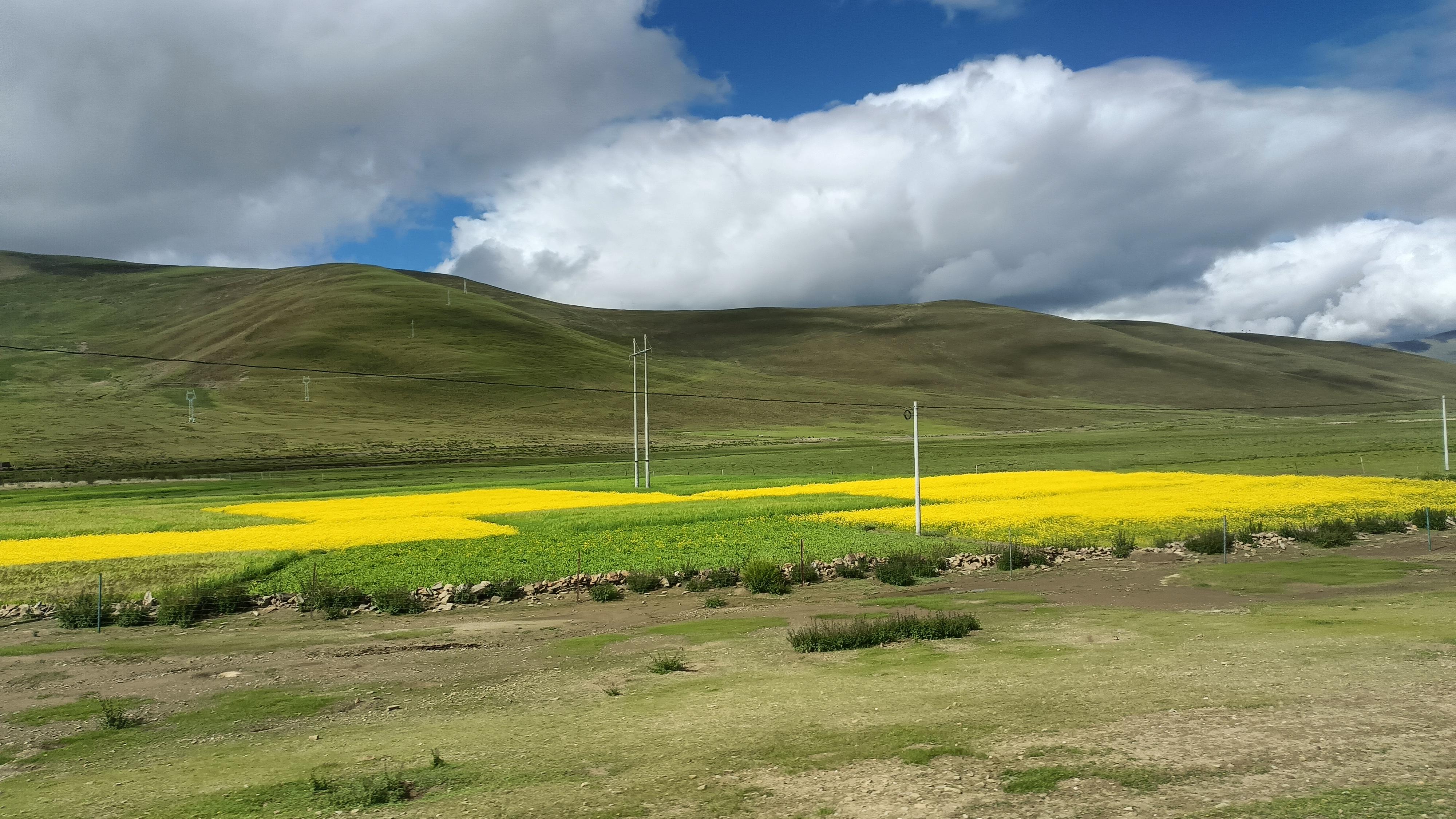 风过了 的想法: 绝处逢生 | 92 拍摄装备:oppo a97 br>99 拍摄