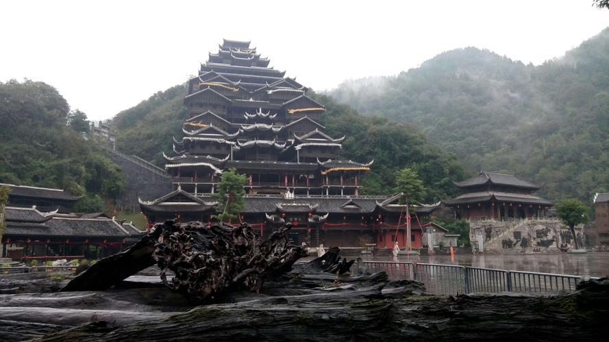 千岁兰 的想法: 重庆金佛山国家重点风景名胜区 | 重庆金佛山国家重点