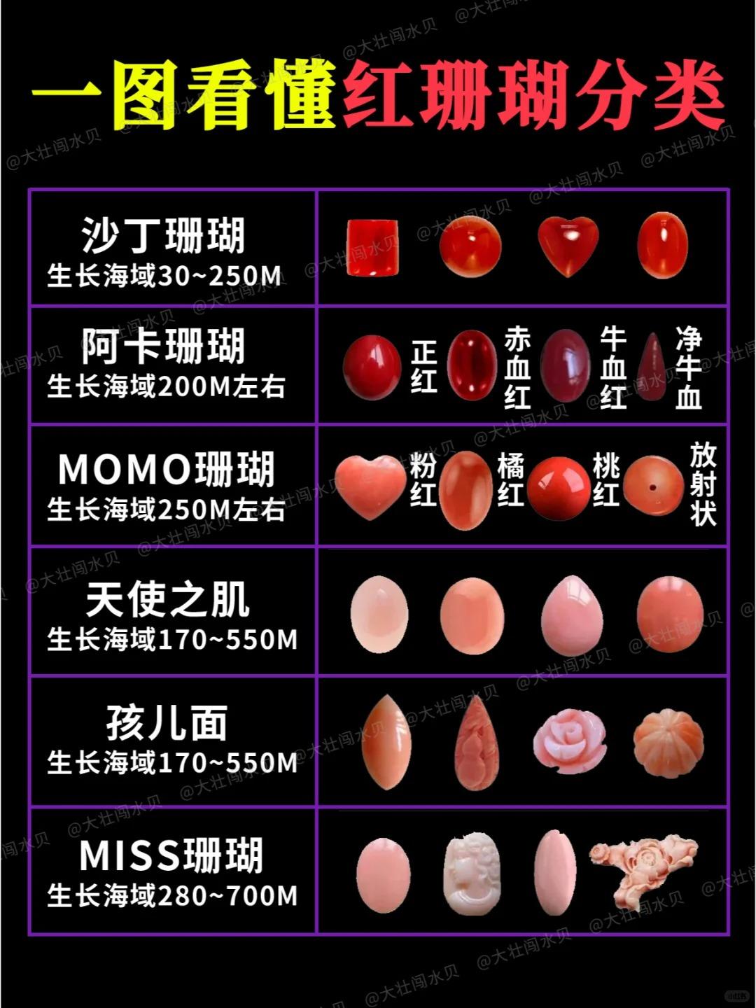 大壮闯水贝 的想法: 小白一图能看懂的红珊瑚分类