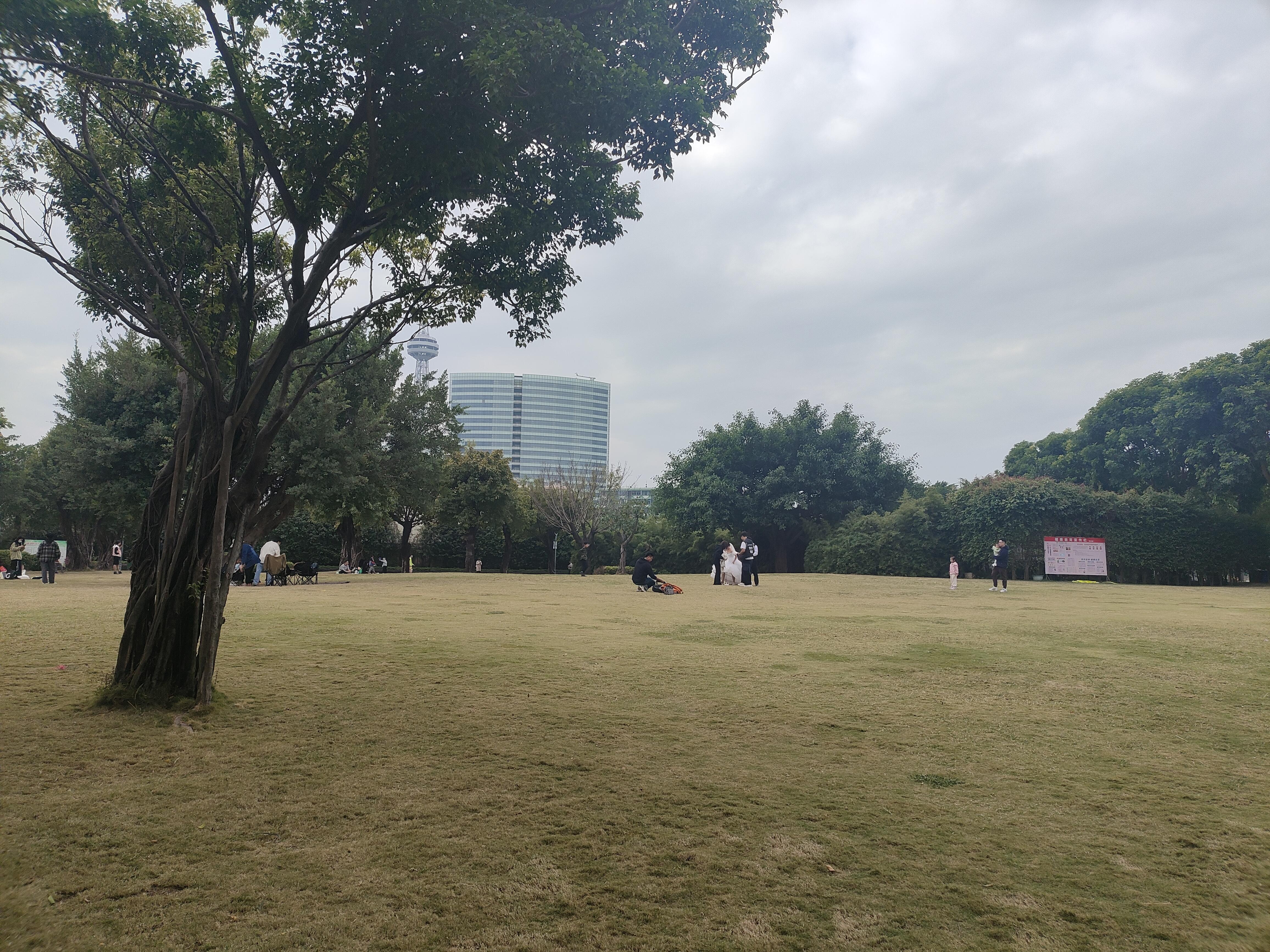 的想法: 公园里流行婚纱礼服照 | 98地点:汕头北郊公园 br>74时间