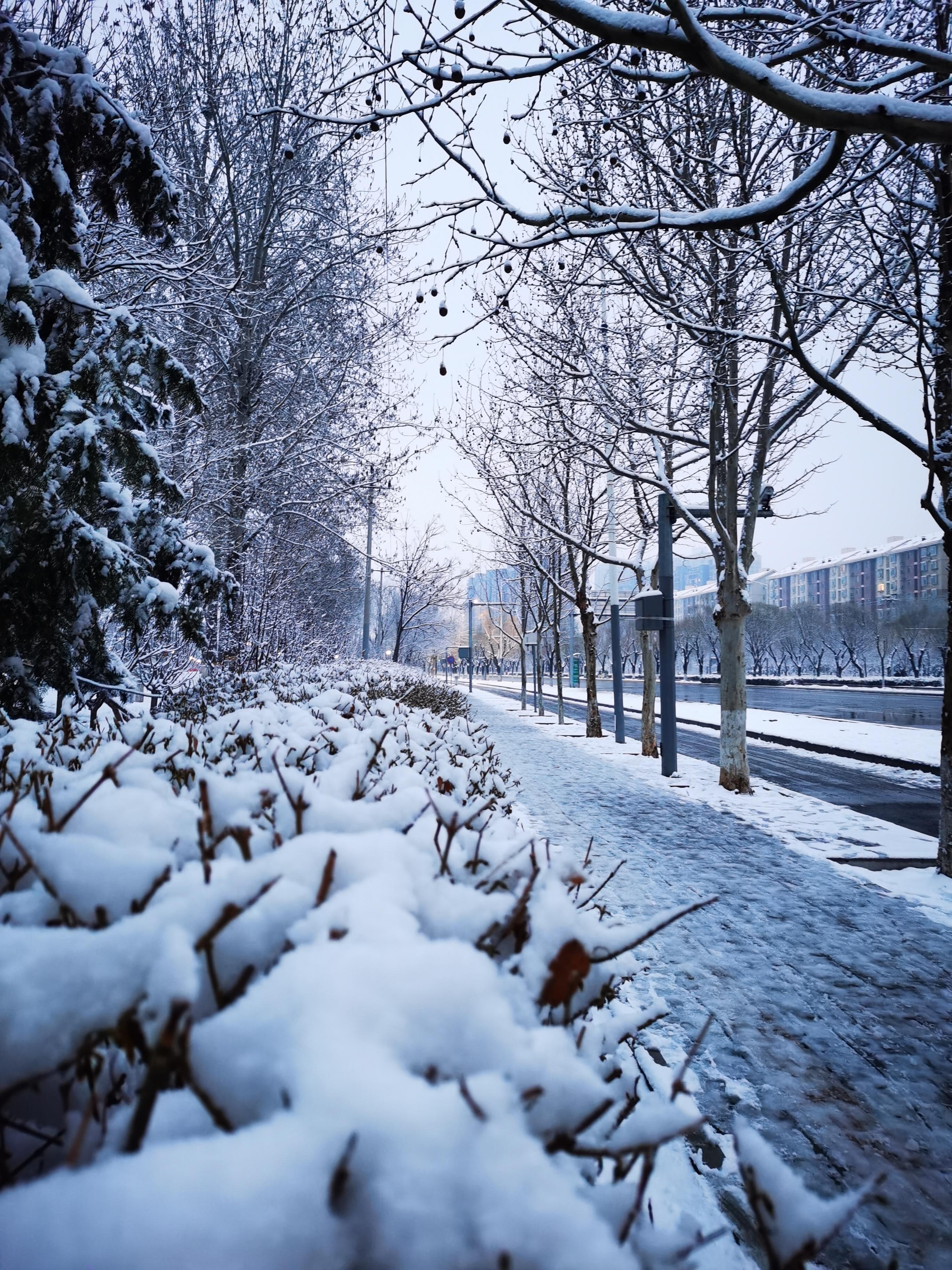 城市雪景图片大全唯美图片