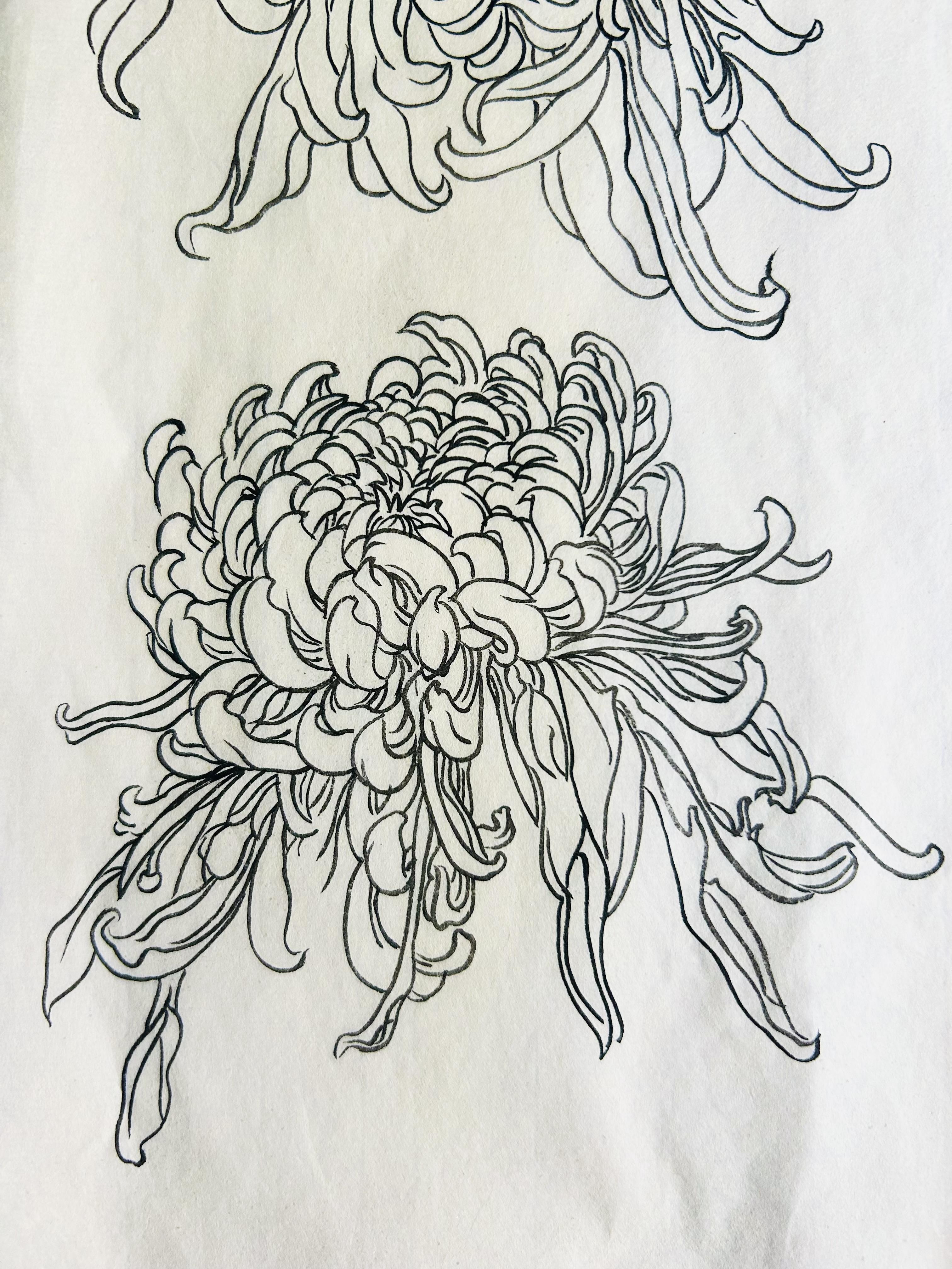 静观斋 的想法: 国画白描花鸟练习十六