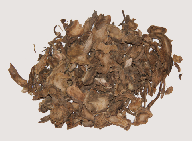 徐星星stella 的想法: 独活,别名:走马芹,大活,川独活等