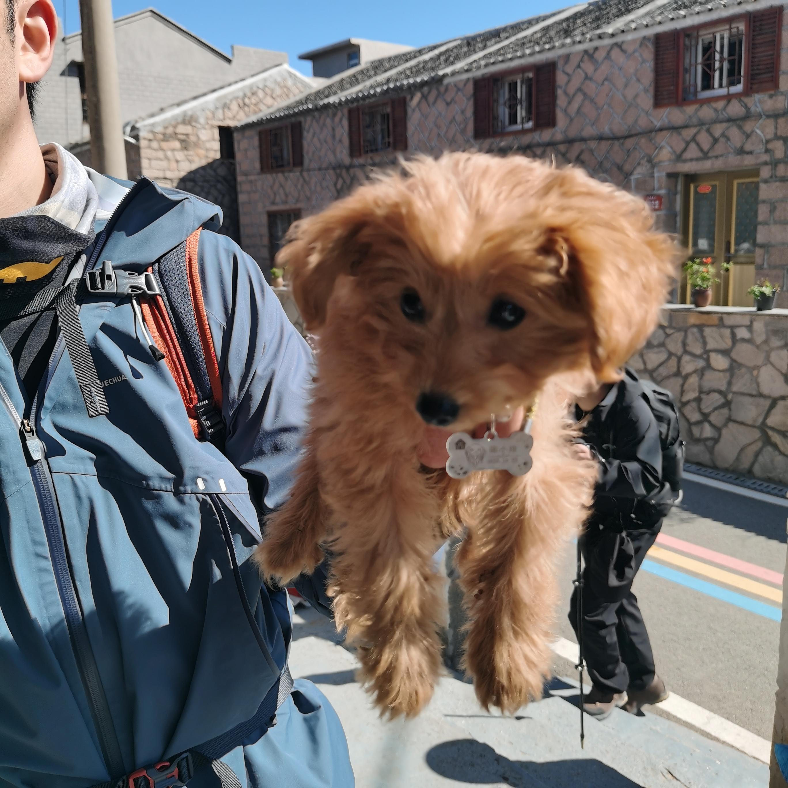 抱朴 的想法: 温州洞头大门岛22公里环线,海风清凉,景色好,村庄里有