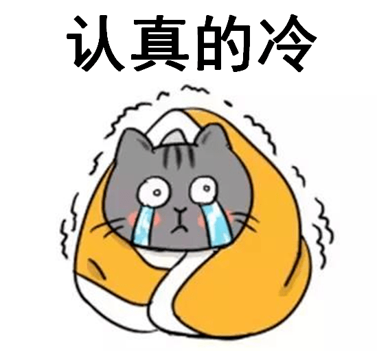 天气冷了图片