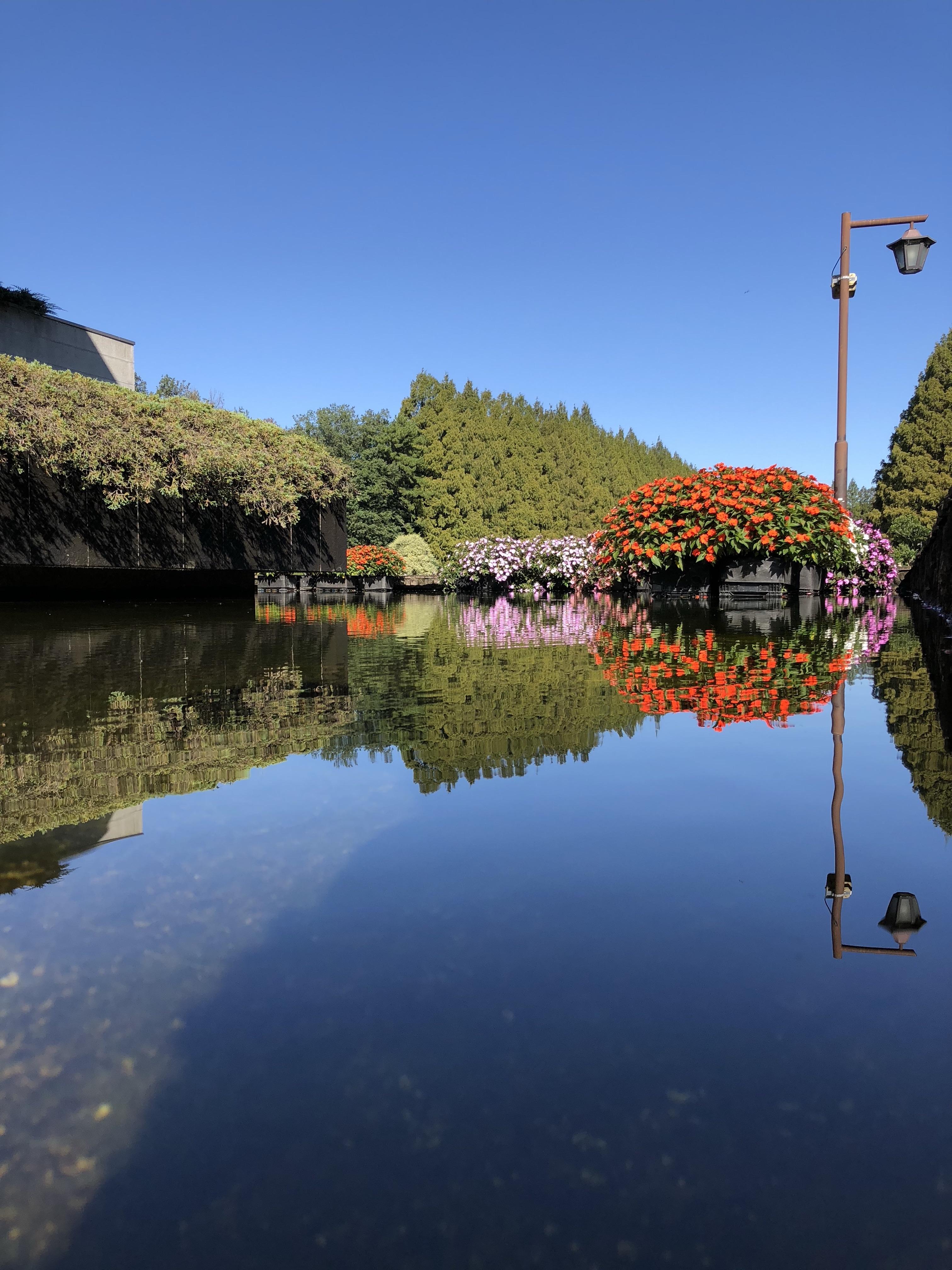 知耕牛 的想法: 手机随手拍 | 走到哪里看到美景