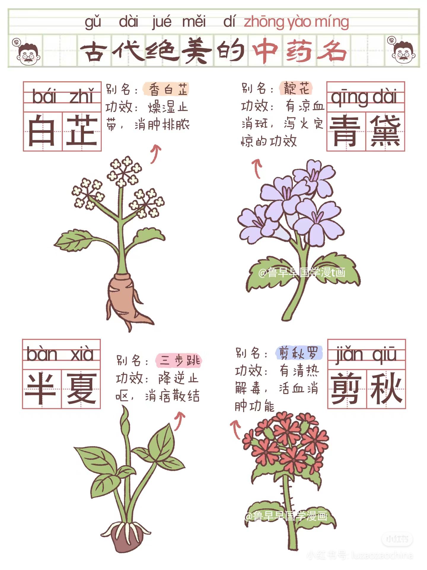 姜书 的想法: 让人惊艳的中草药名