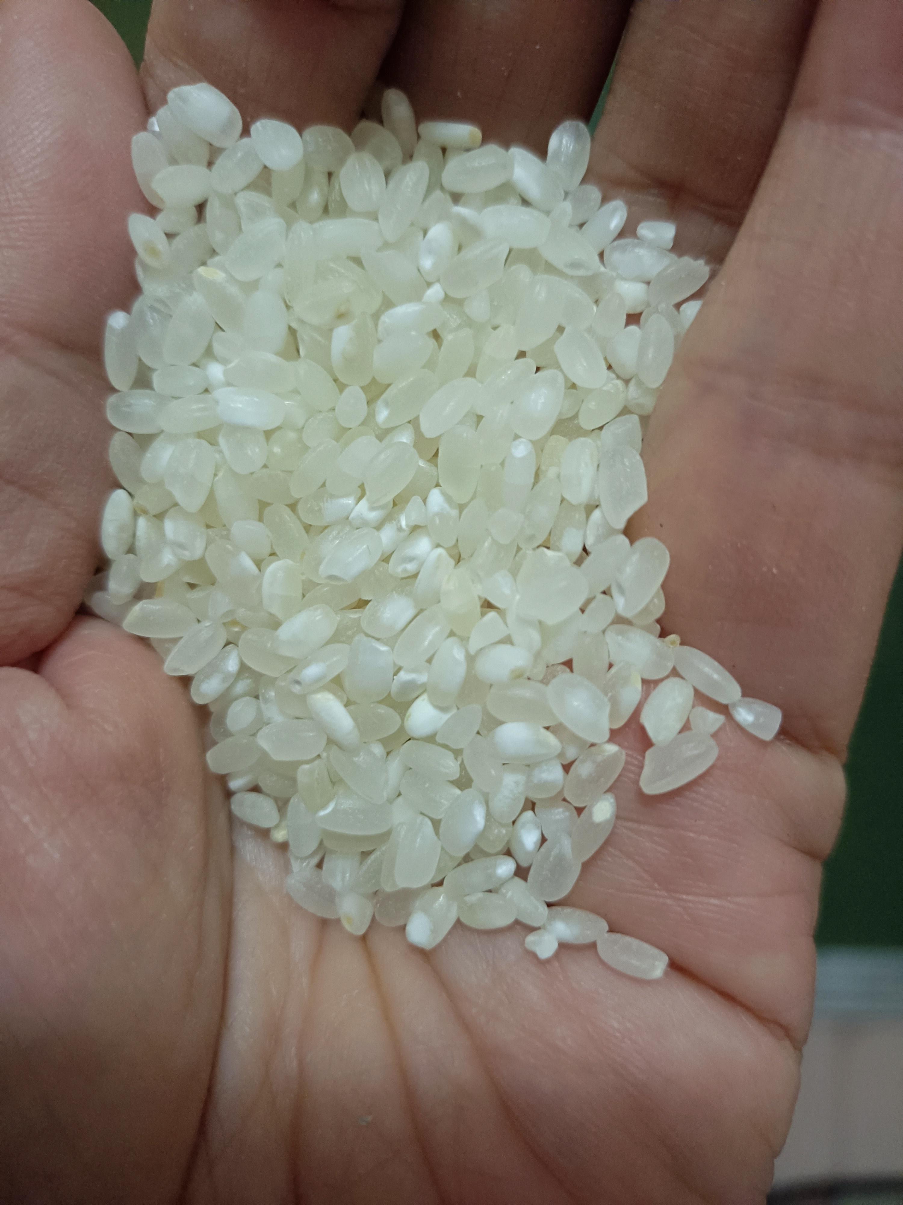 炒米茶减肥效果不错锅中不放油放入大米用中小火干炒炒至发焦黄待米炒