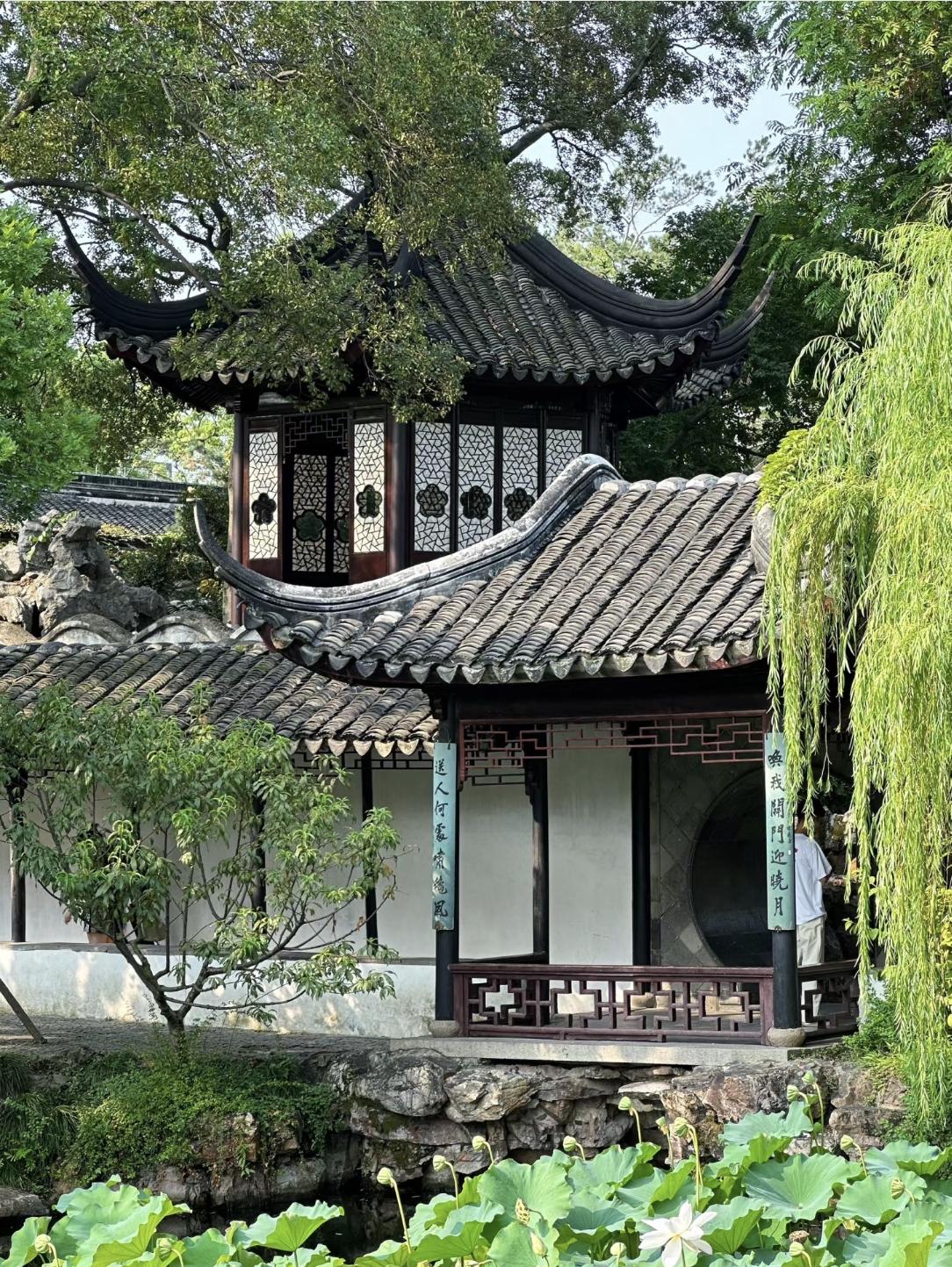 的想法: 拙政园,这座被誉为中国四大名园之一的苏州古典园林,不仅是