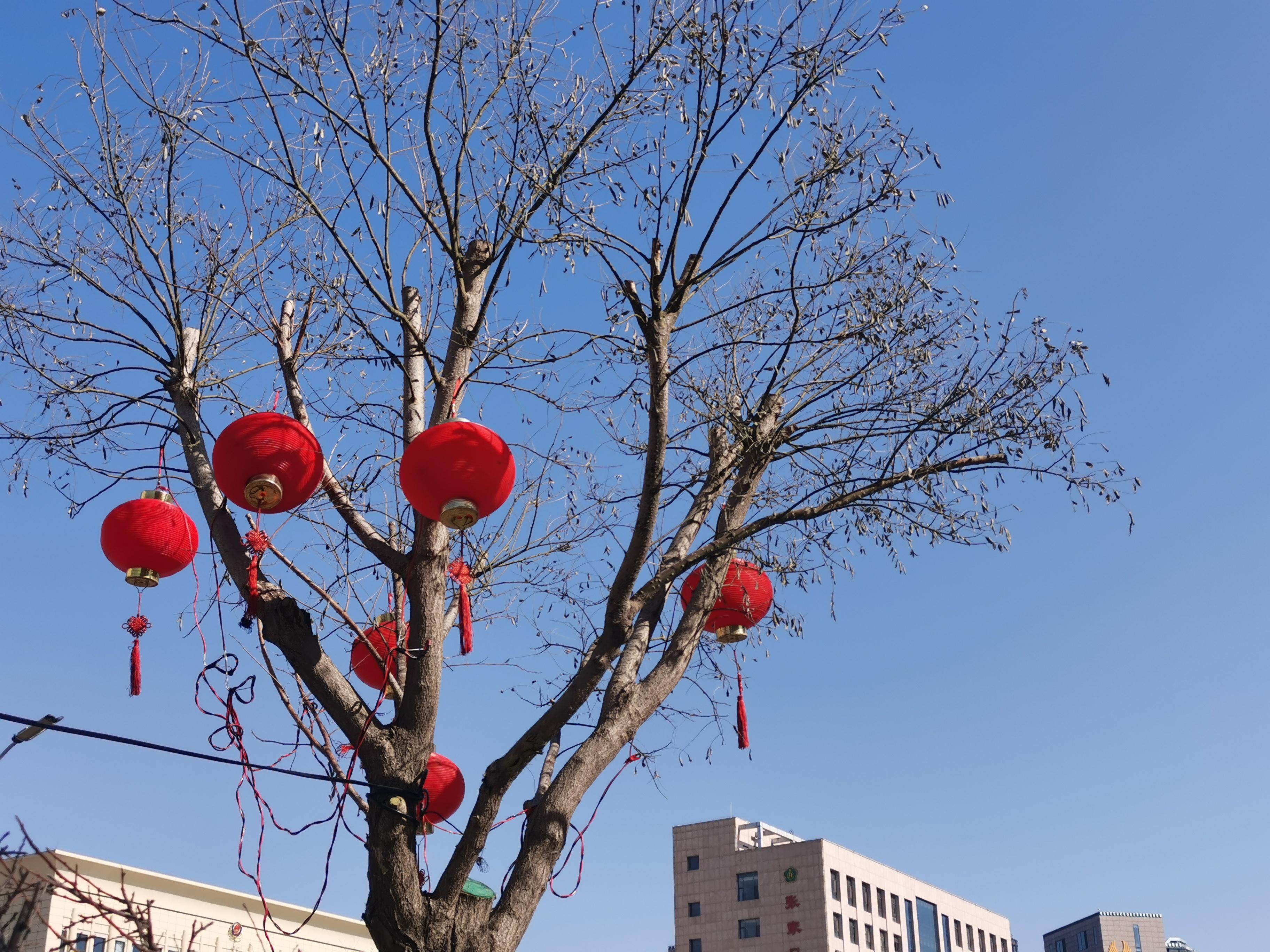 春节街道上的景象图片