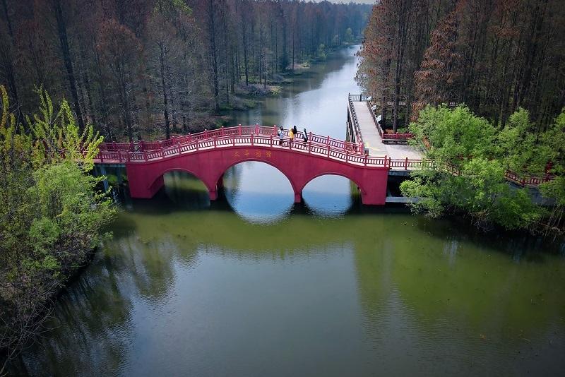 天然氧吧,水清树绿,空气清新,游人陶醉,最是江南好风景,扬州高邮