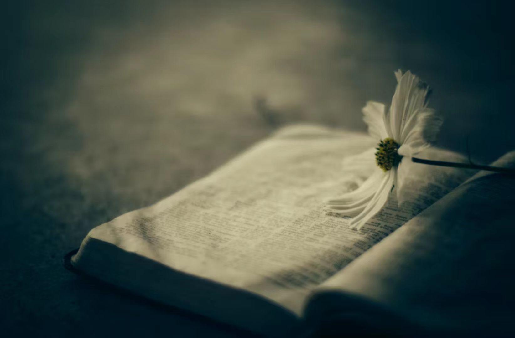 敏感的乌龟 的想法: 认清自我是人生中非常重要的一步,只有了解自己的