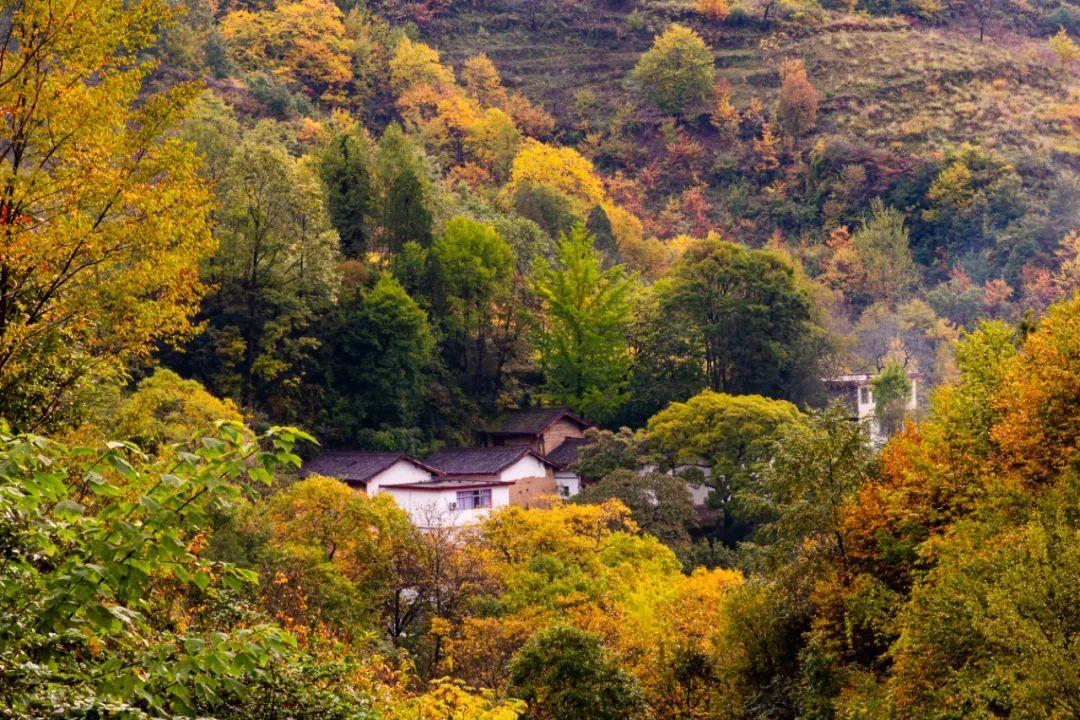 甘肃陇南图片风景图片