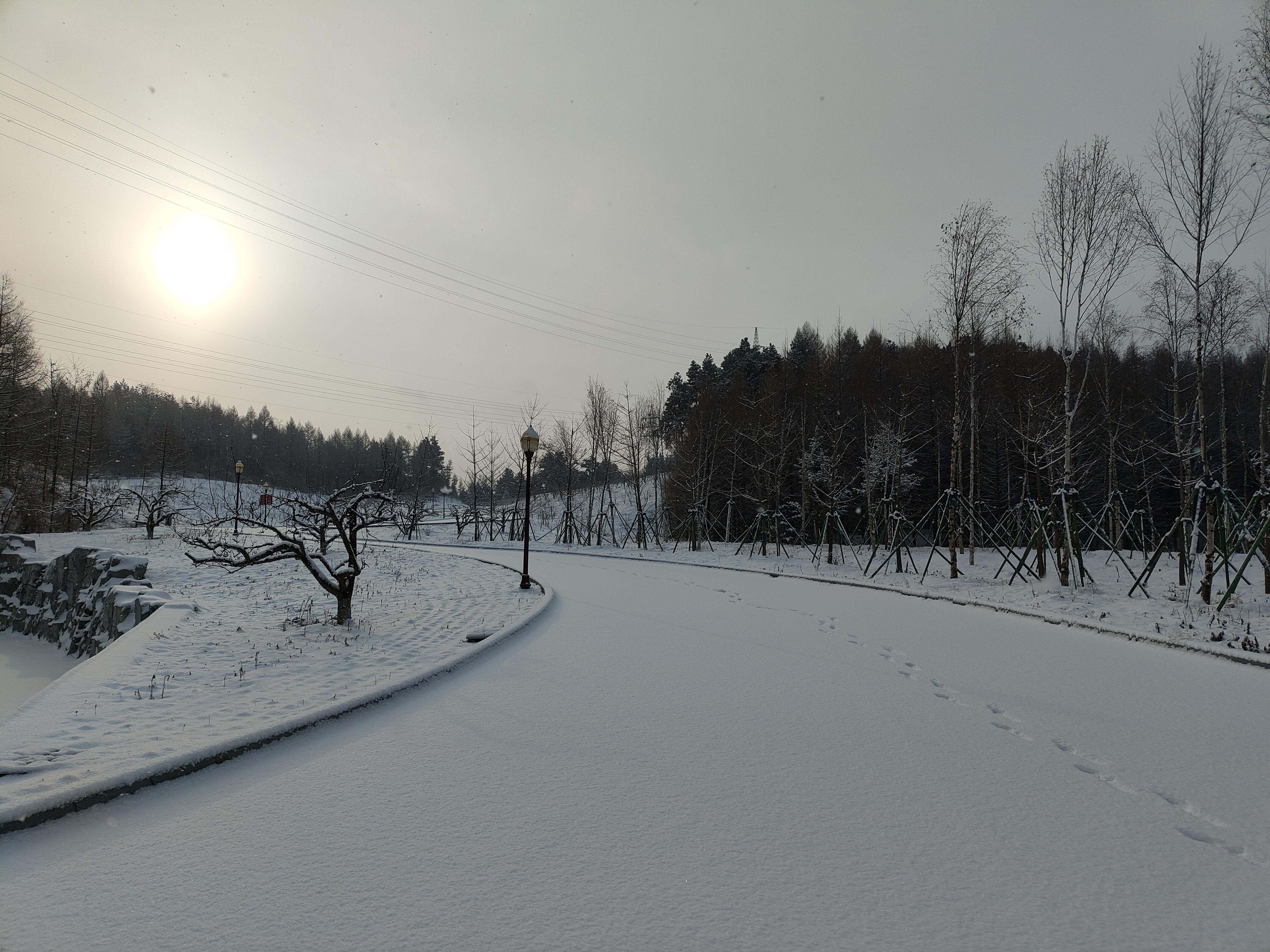 今日大雪今天是入冬之后的第三个节气大雪