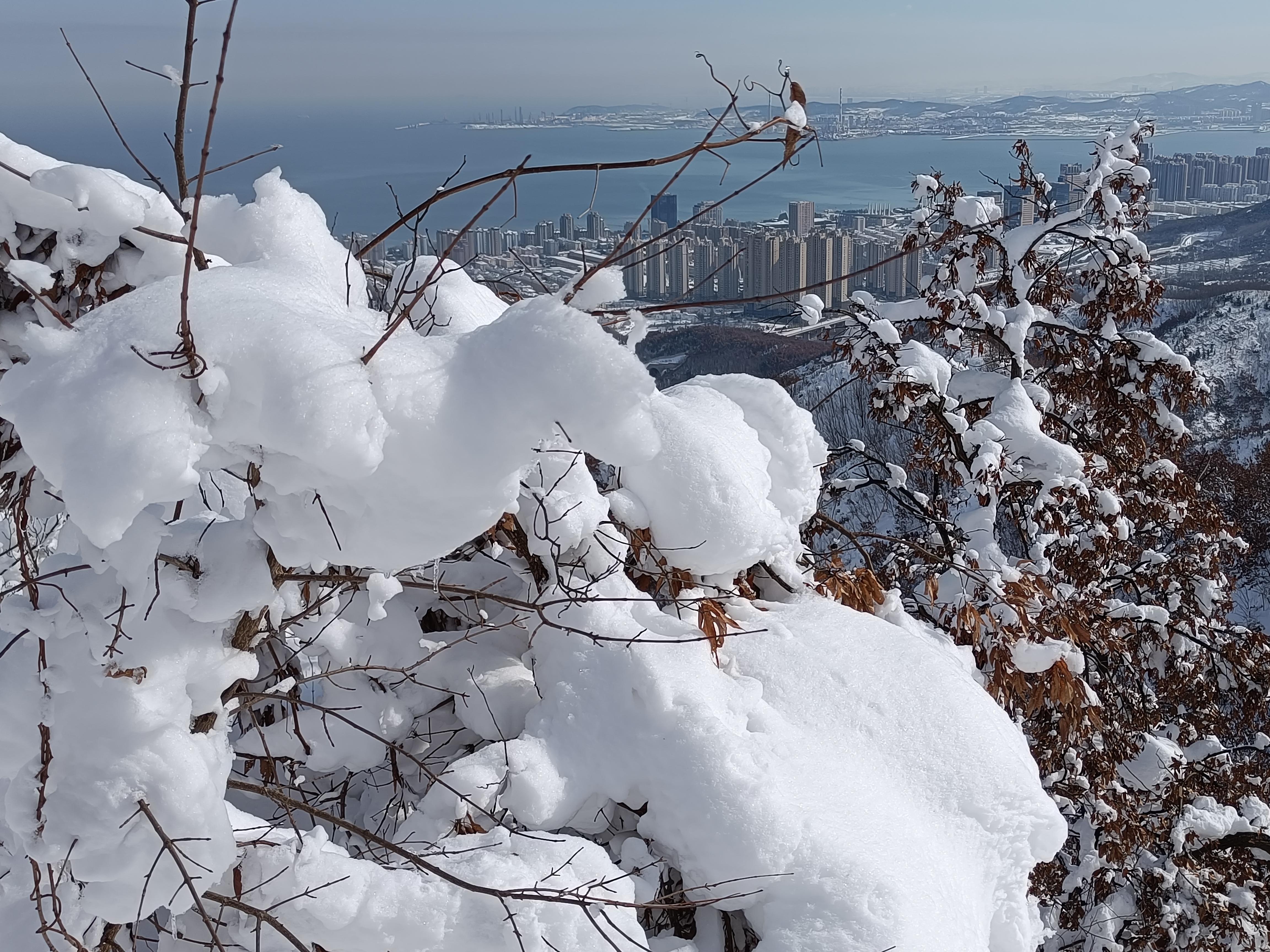 等下一场雪 | 等着再下一场雪,再下点霜,把雪霜锁在树枝上,形成雾凇