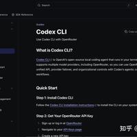 镌刻星辰 的想法: Codex 接入 OpenRouter 新指南 | 刚发布的 Codex 接入 OpenRouter 指南太实用了！一键 ...