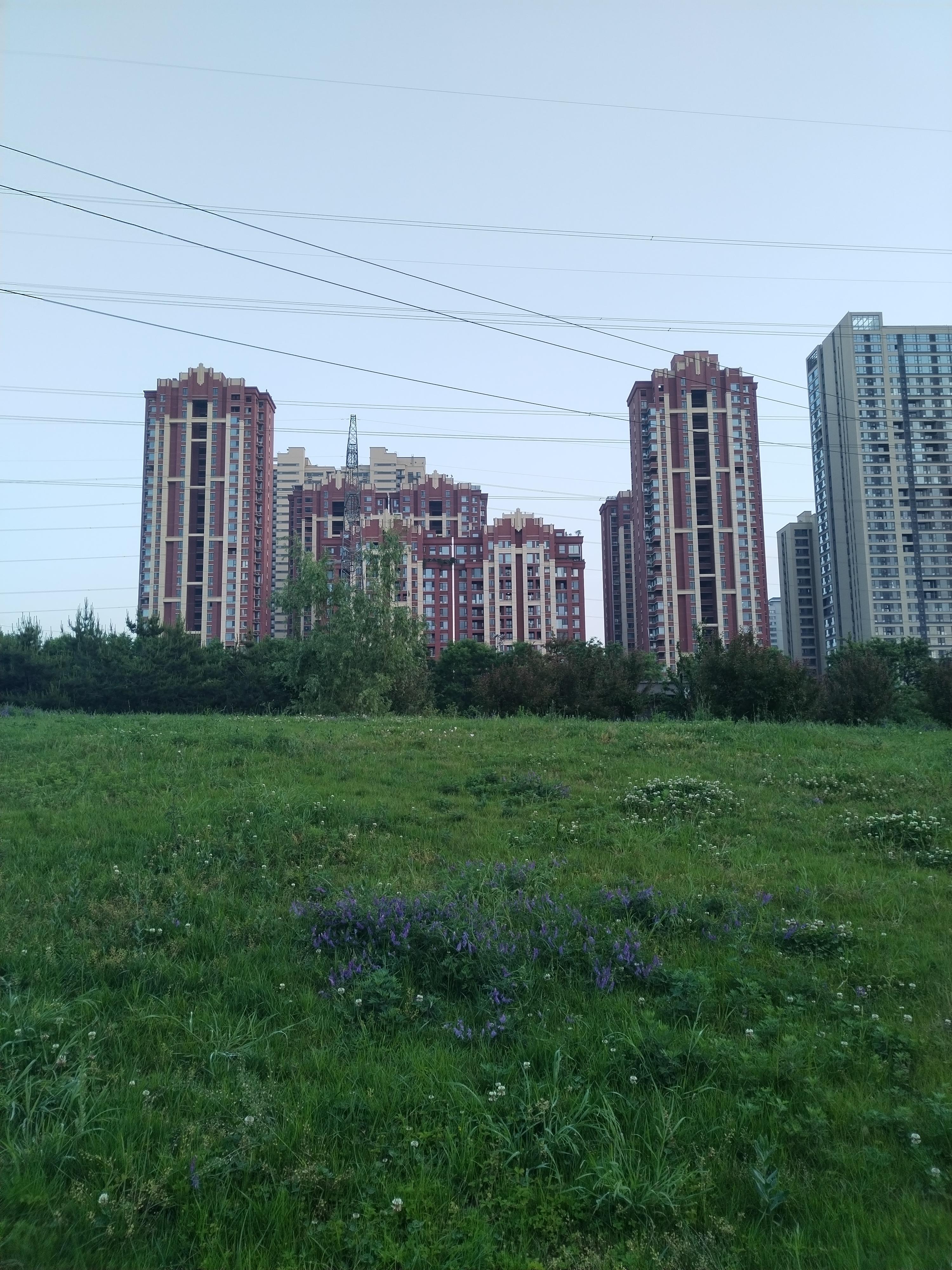 曲江守望者 的想法: 黄昏下的曲江花影公园