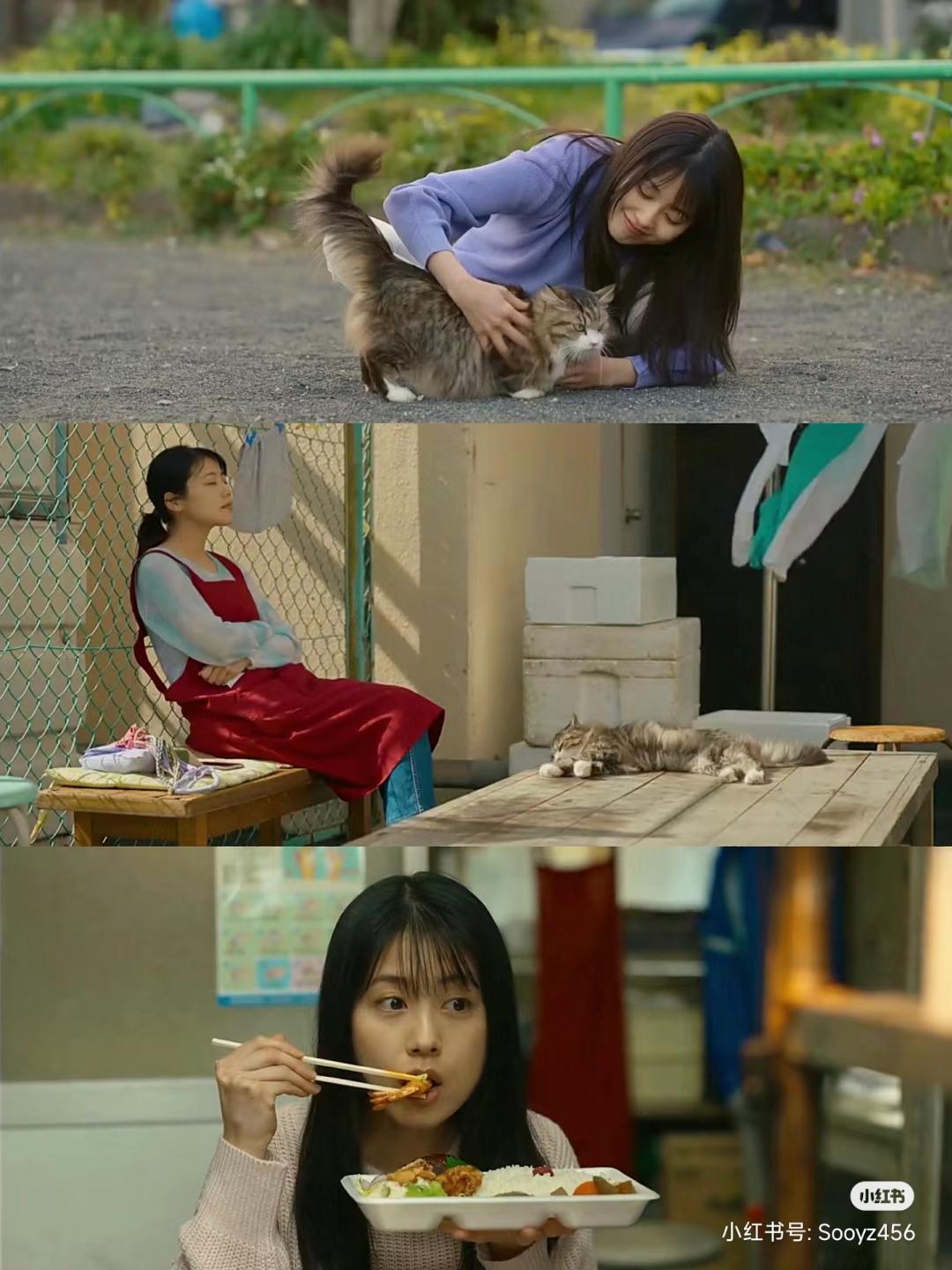 akb48不能谈恋爱