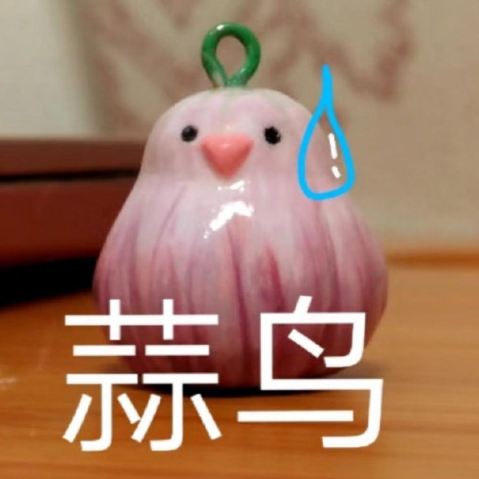 千山暮雪 的想法: “蒜鸟”是什么梗？ | 蒜鸟，其实是武汉方言“算了”的谐音梗。它最初是武汉人劝架时的口头禅，比如看到… - 知乎