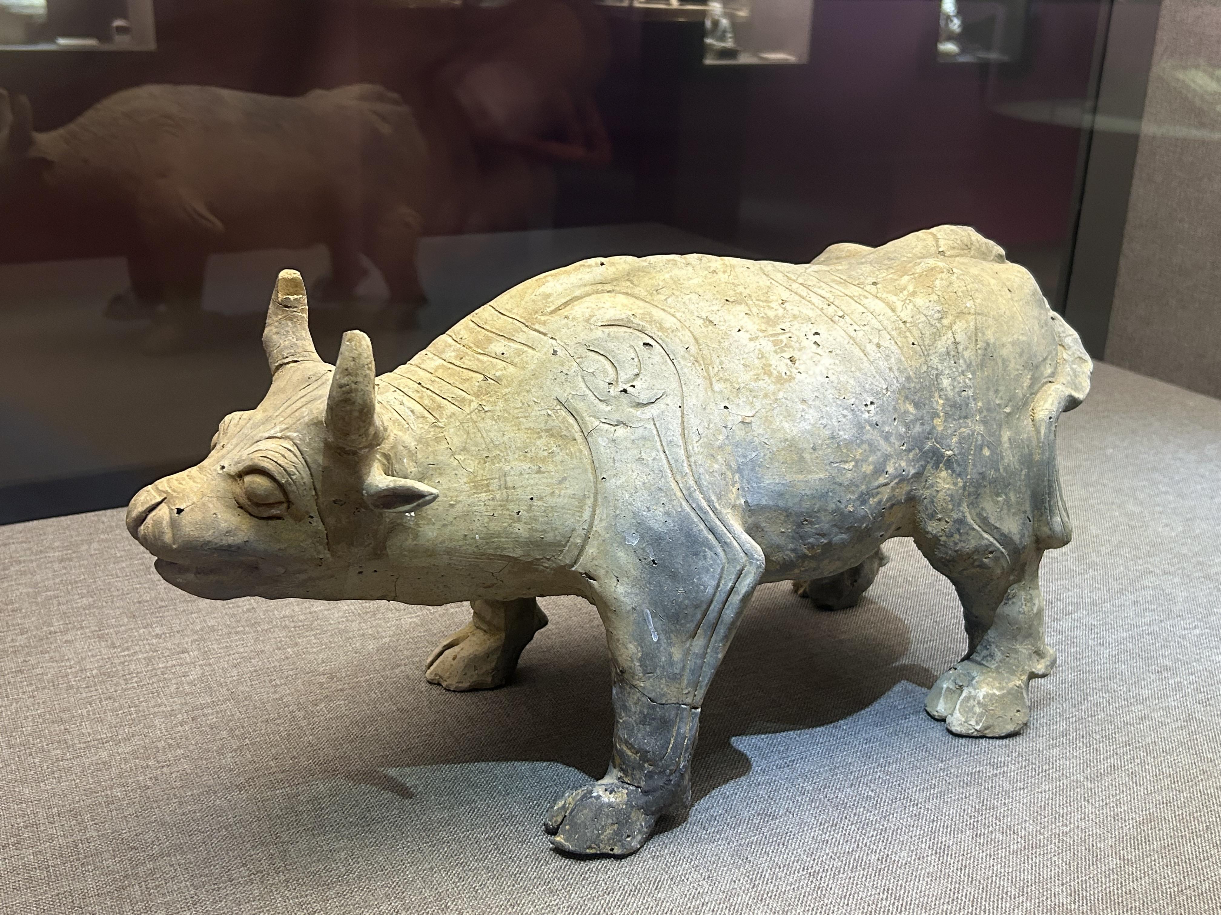 飞行的书卷 的想法: 贵州兴义博物馆的一级文物