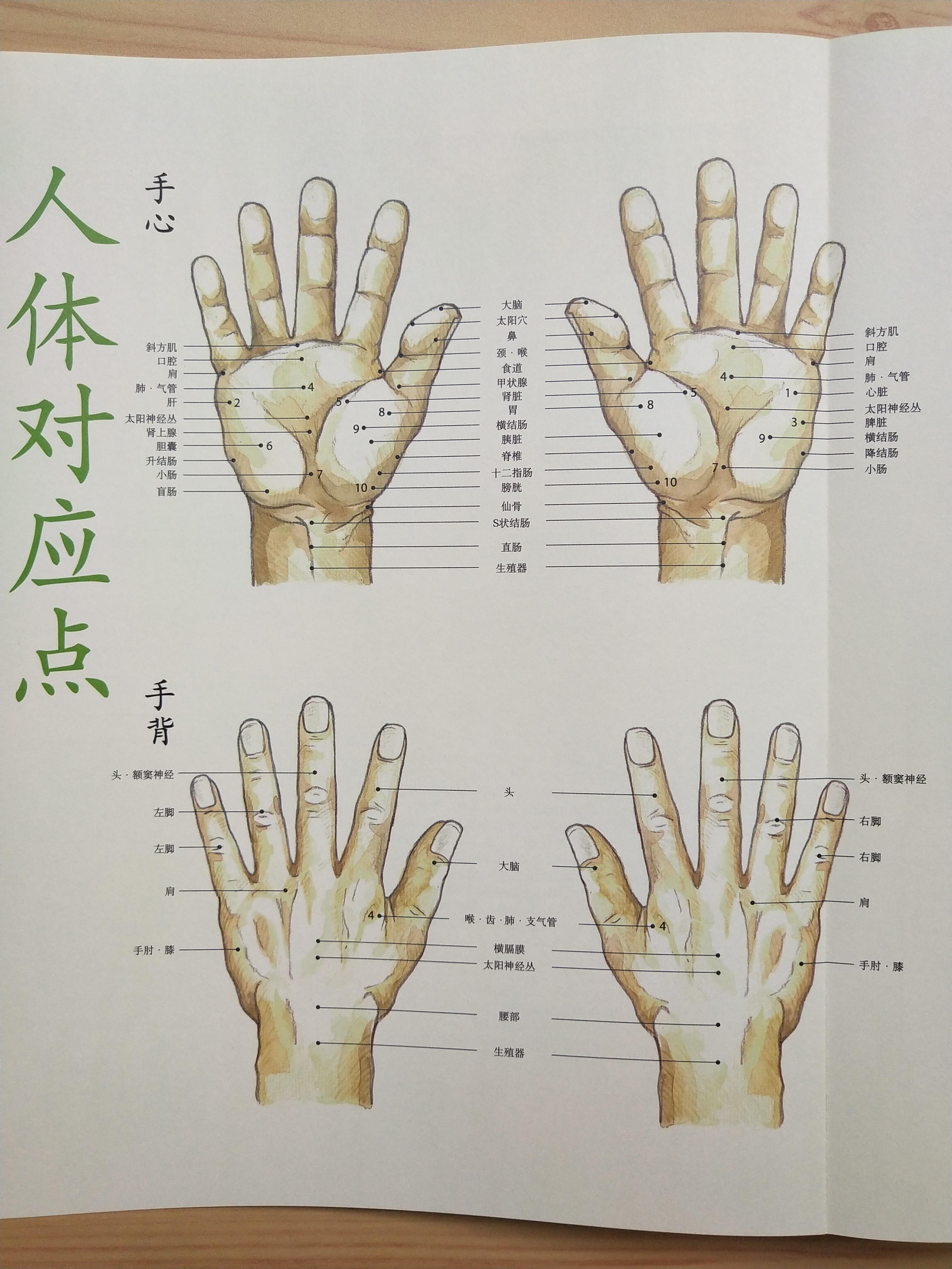九韶 的想法: 人体对应点