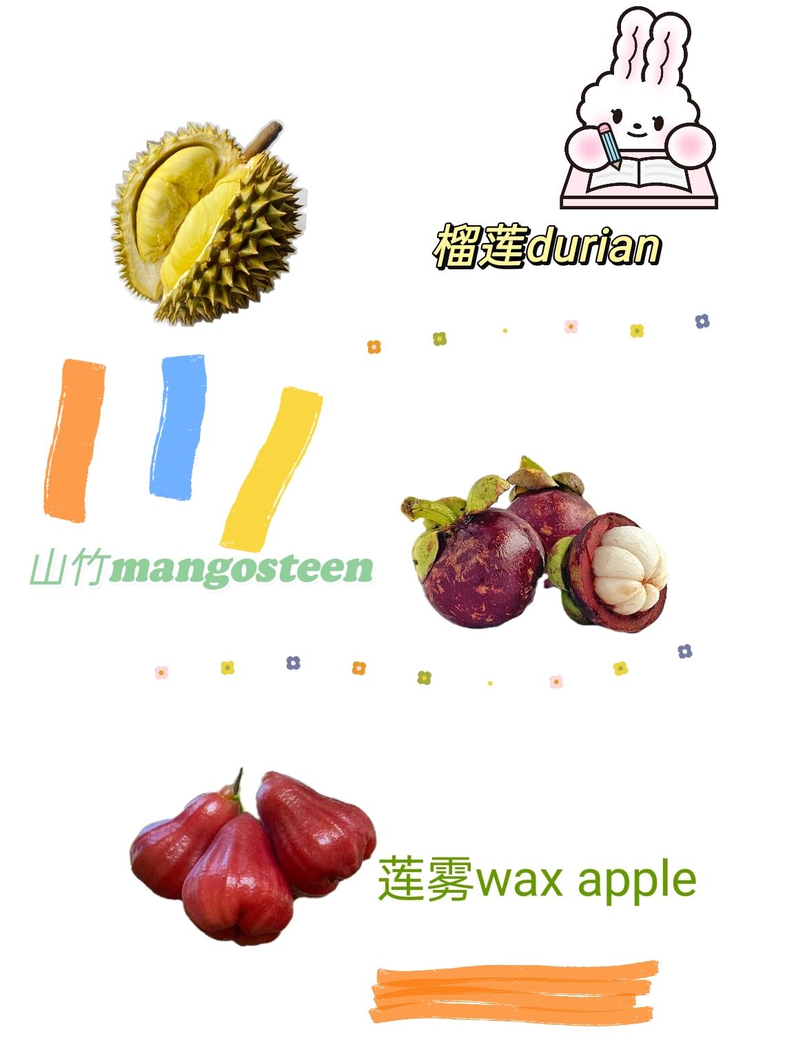 榴莲durian; br>山竹mangosteen; br>莲雾wax apple; br>杨桃star