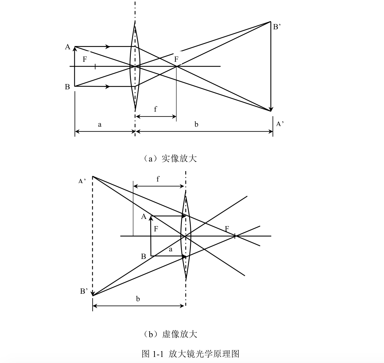 虚像和实像怎么区分图片