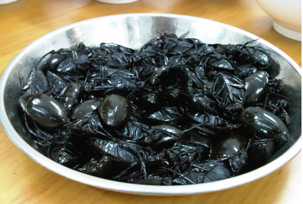 「⿰甴曱」,「⿰曱甴」怎么读?