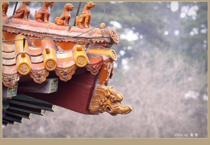古建筑上一排小动物和各种脊兽，都是什么？用来做什么的？ - 知乎