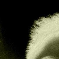 Zhihu profile picture for @articulate