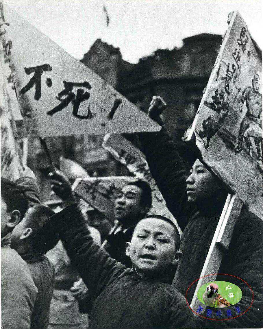 抗日战争中有哪些令人震撼的照片? - 知乎