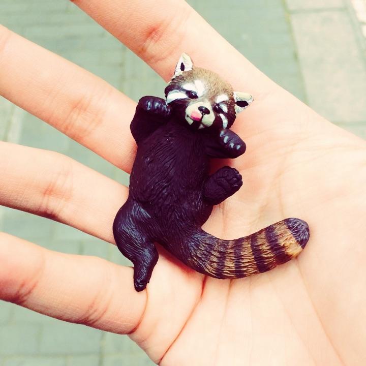 男生手好看是种怎样的体验? - Dijkstra 的回答