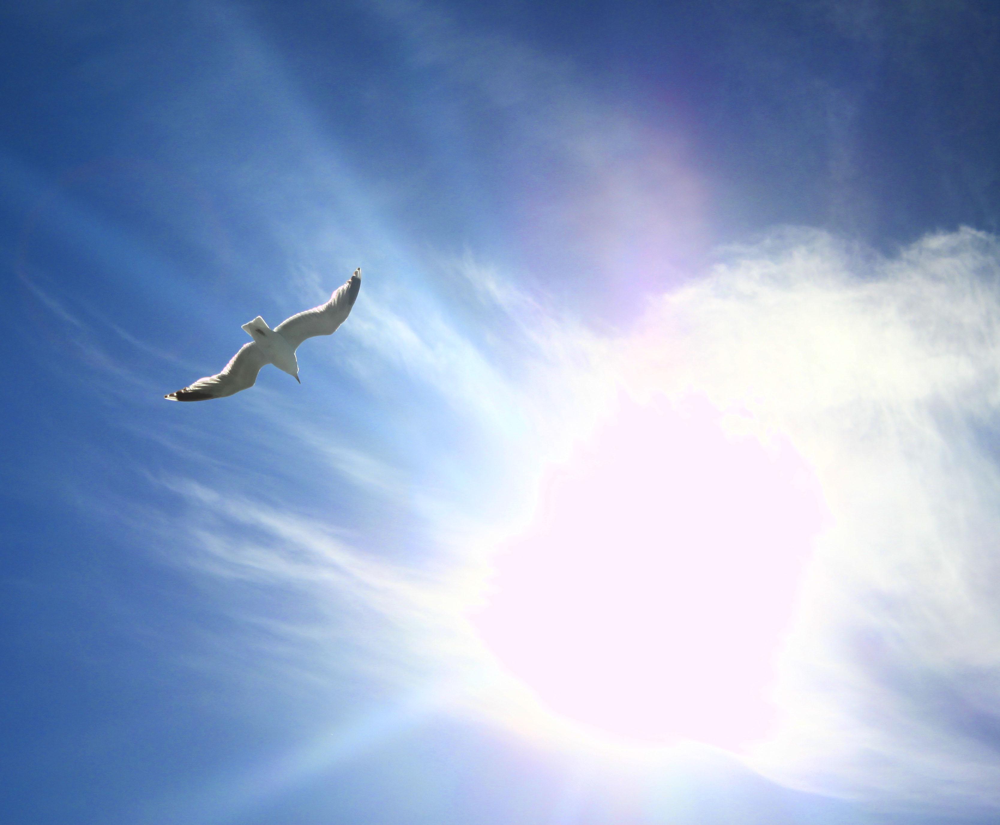 北欧四国哪个国家最美?