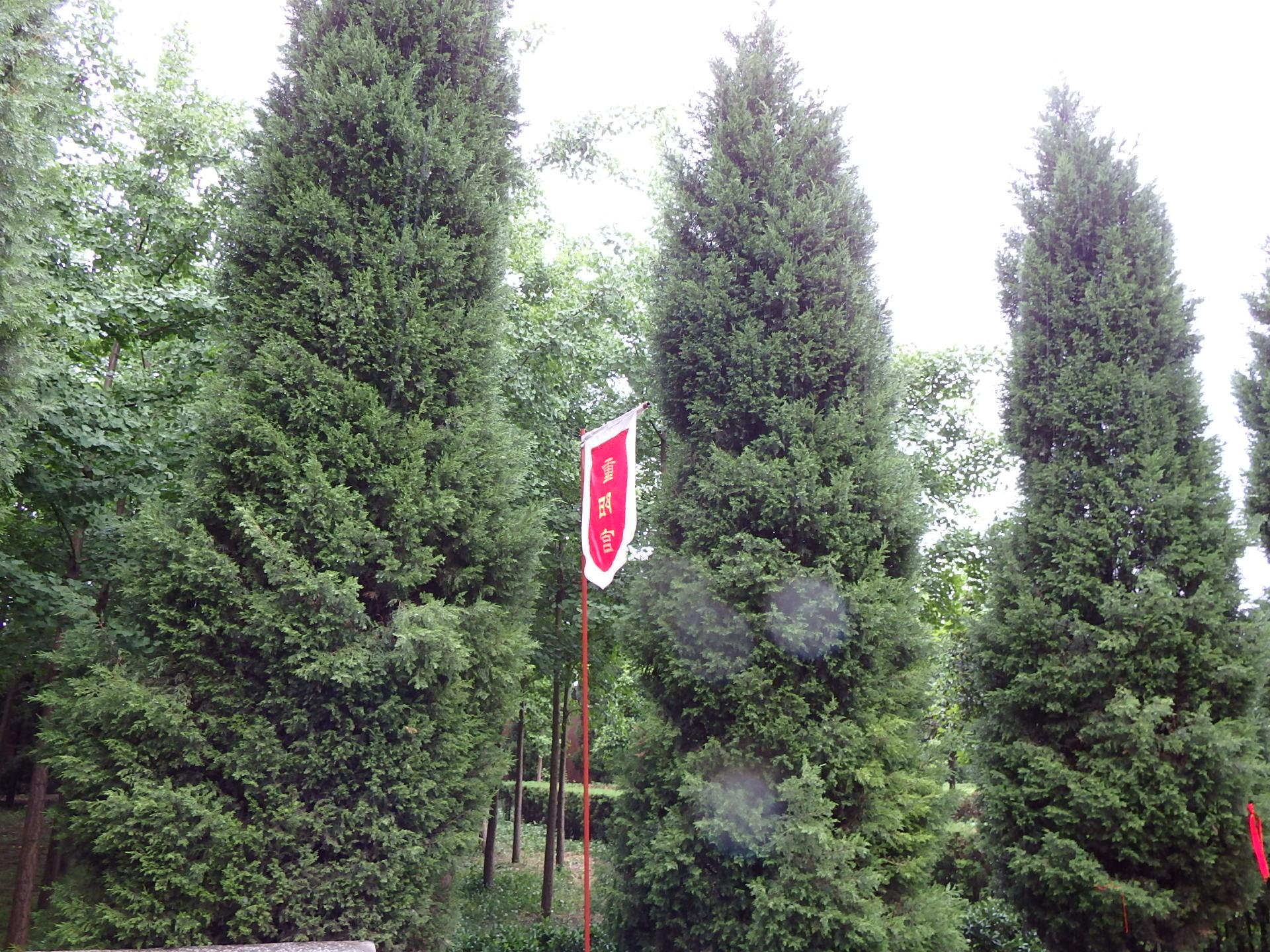 墙纸怎么粘才牢固 13ec03cd50d7238f313d012090228a48_r.jpg