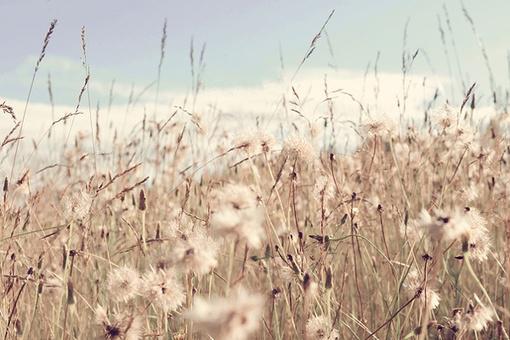 日本的北海道 东北 关东 中部 近畿 四国 九州 冲绳等地区名字怎么来的 上 知乎