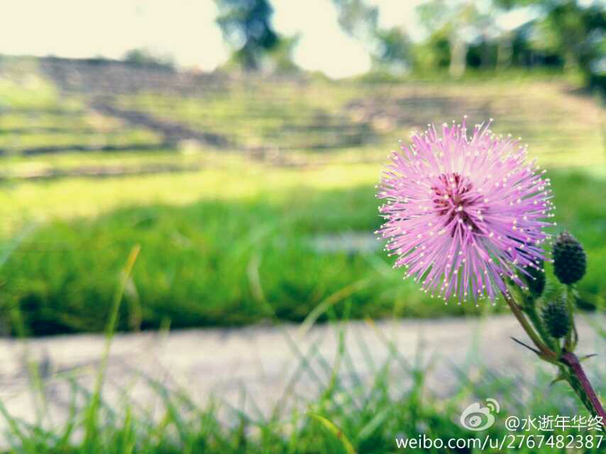安卓手机摄影入门技巧有哪些? - 陈鹏的回答
