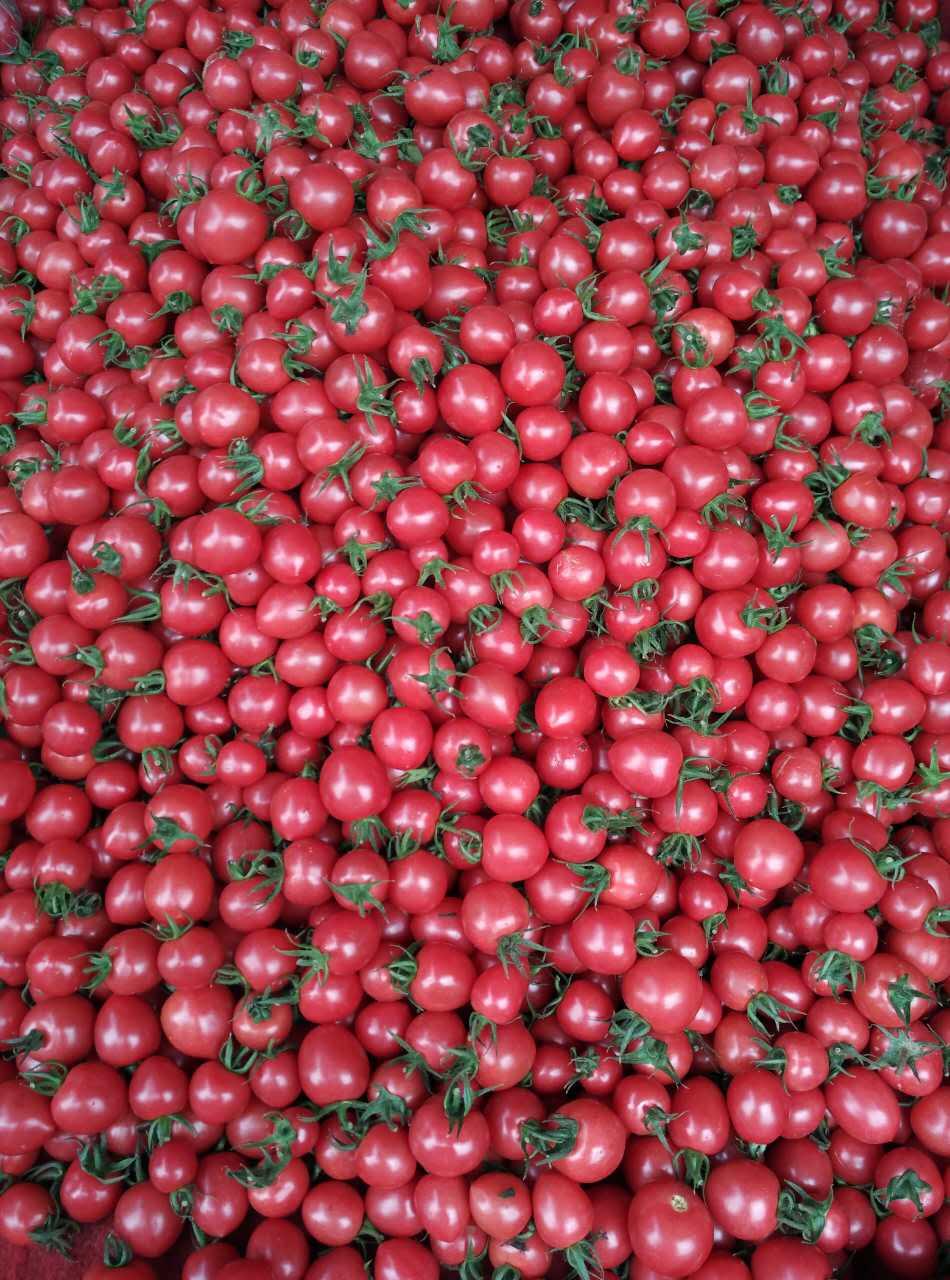 那些早上起来做饭、跑步、冲澡后去上班的人都