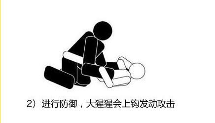 fedor和大猩猩pk谁会赢